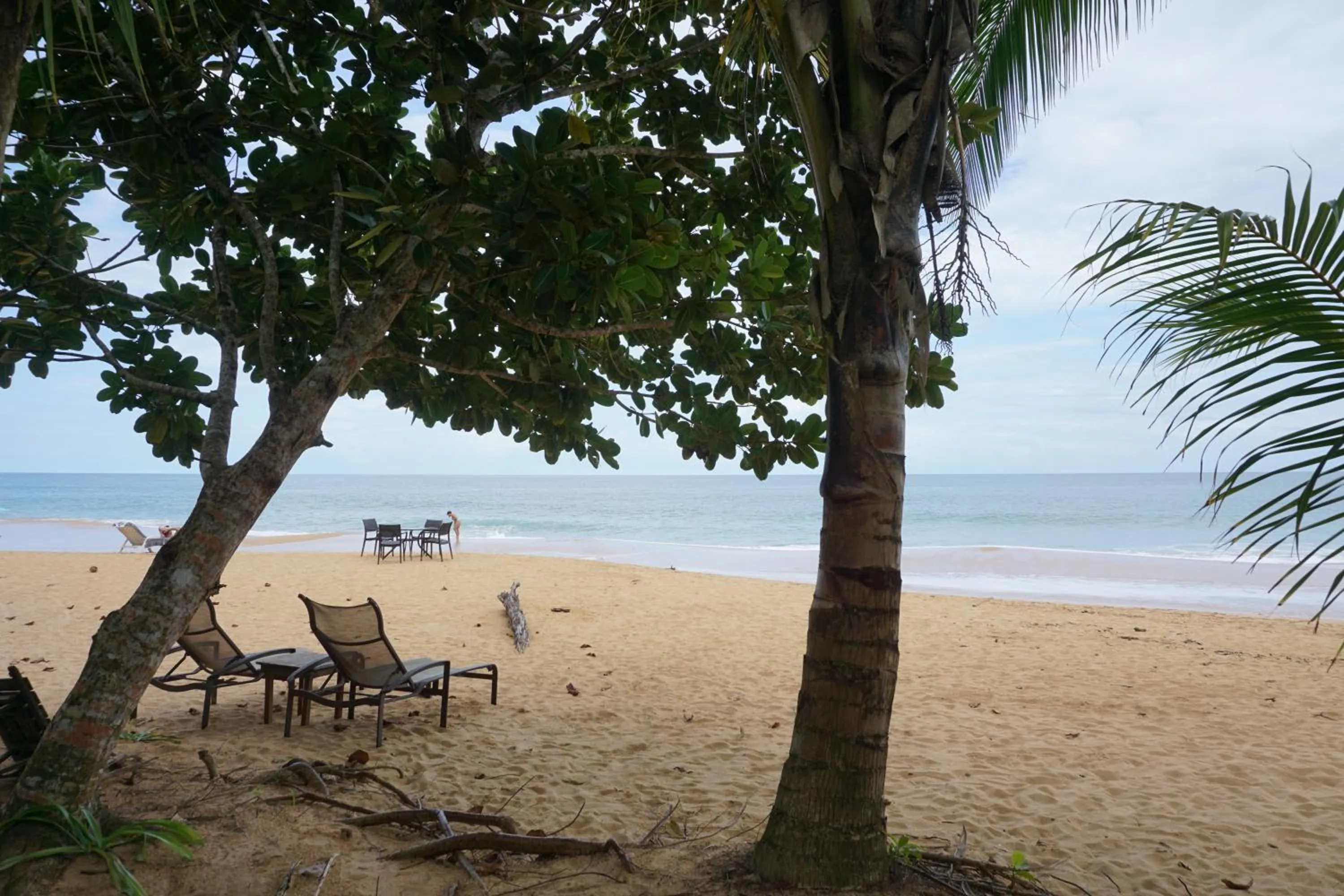 Beach in Oasis Bluff Beach