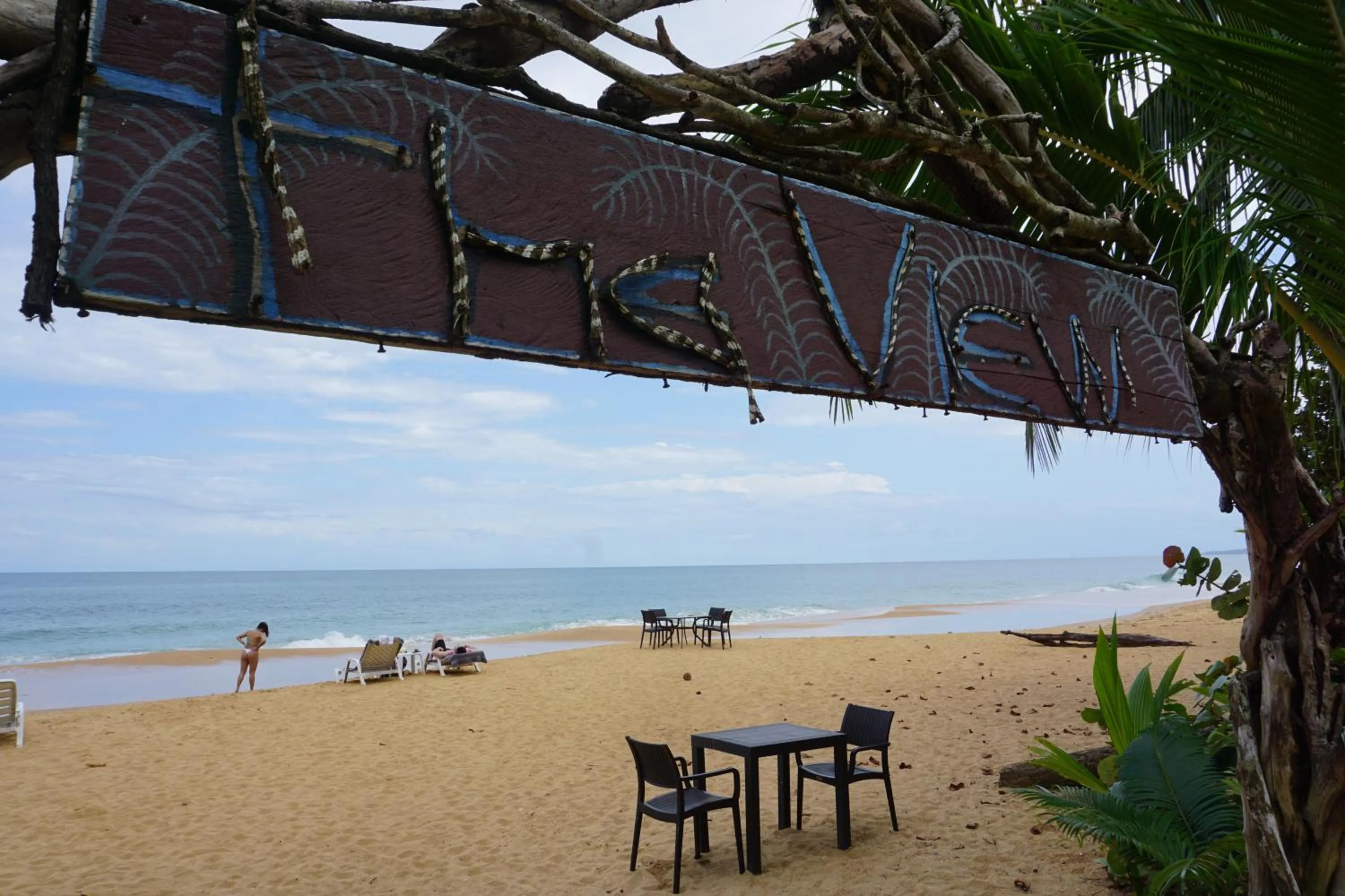 Beach in Oasis Bluff Beach