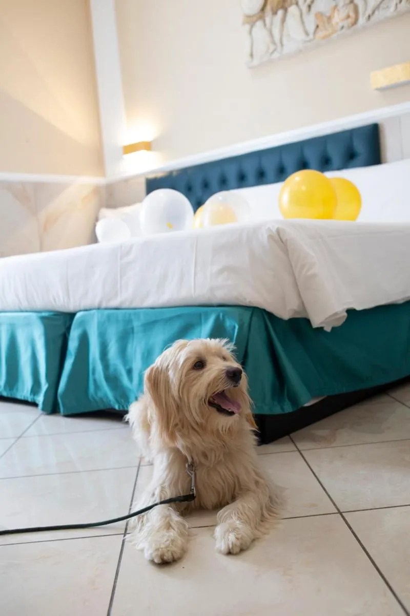 Bed in Hotel Suite Caesar