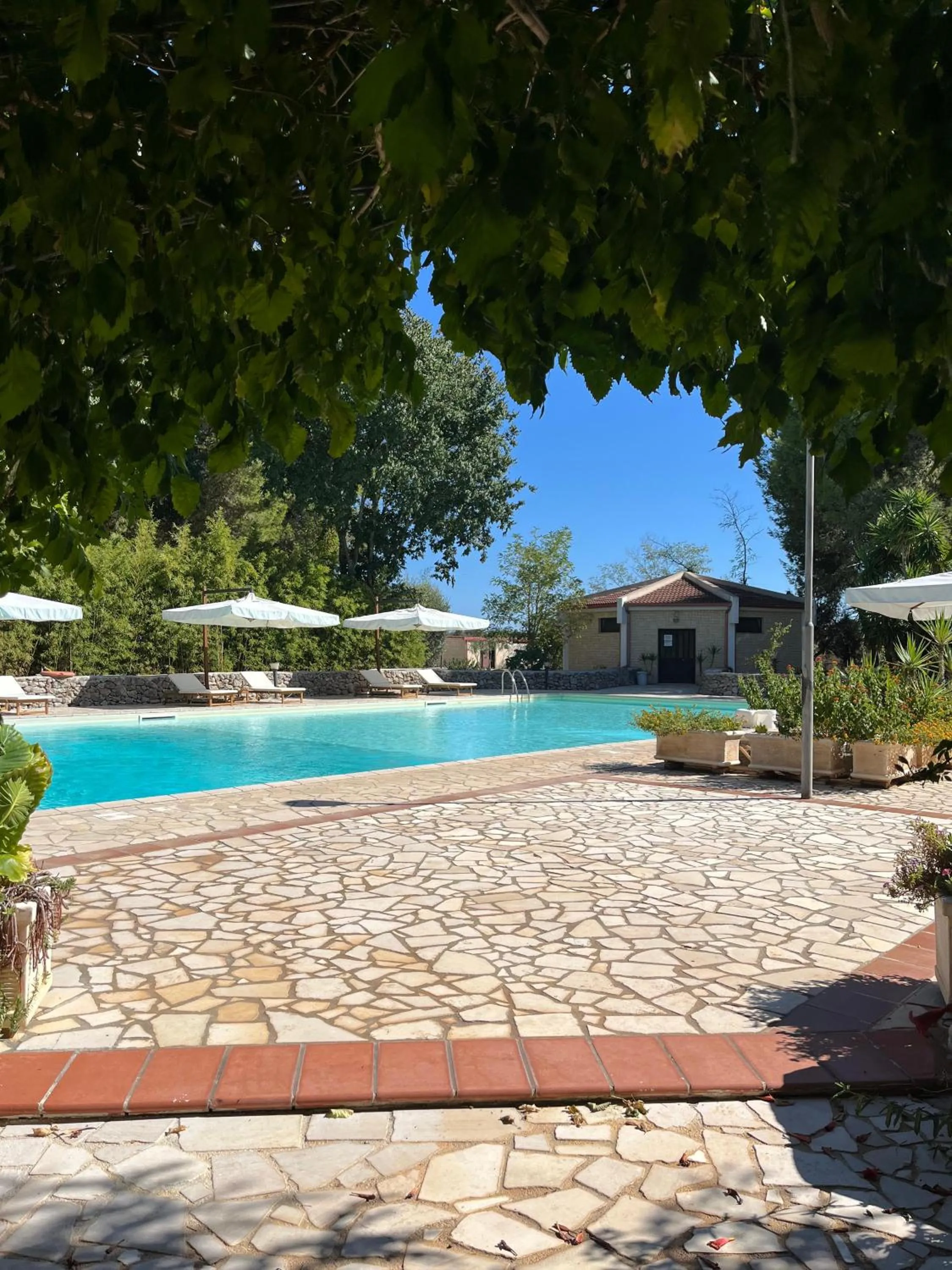 Swimming pool in Casette Masseria La Camardia