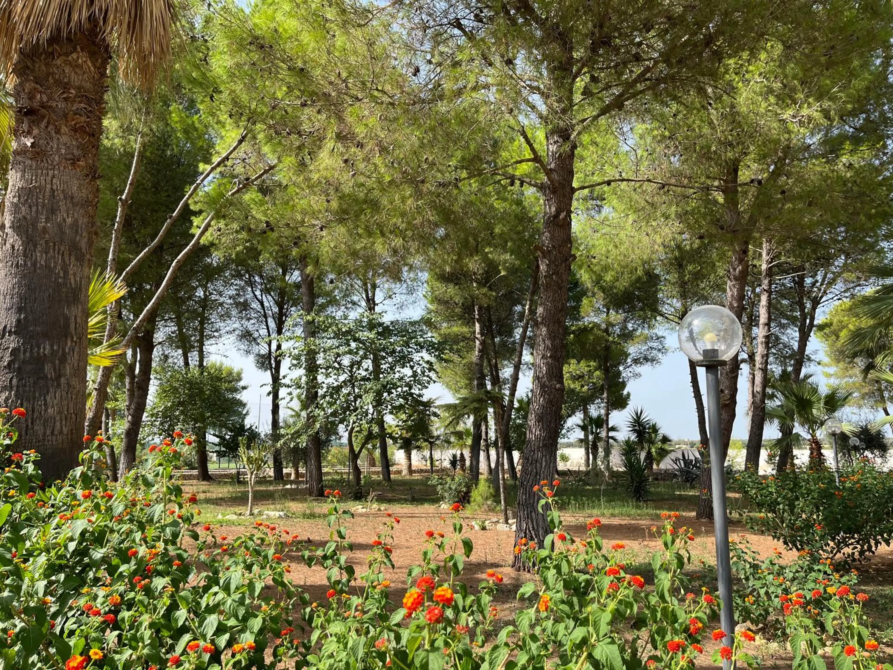 Garden in Casette Masseria La Camardia