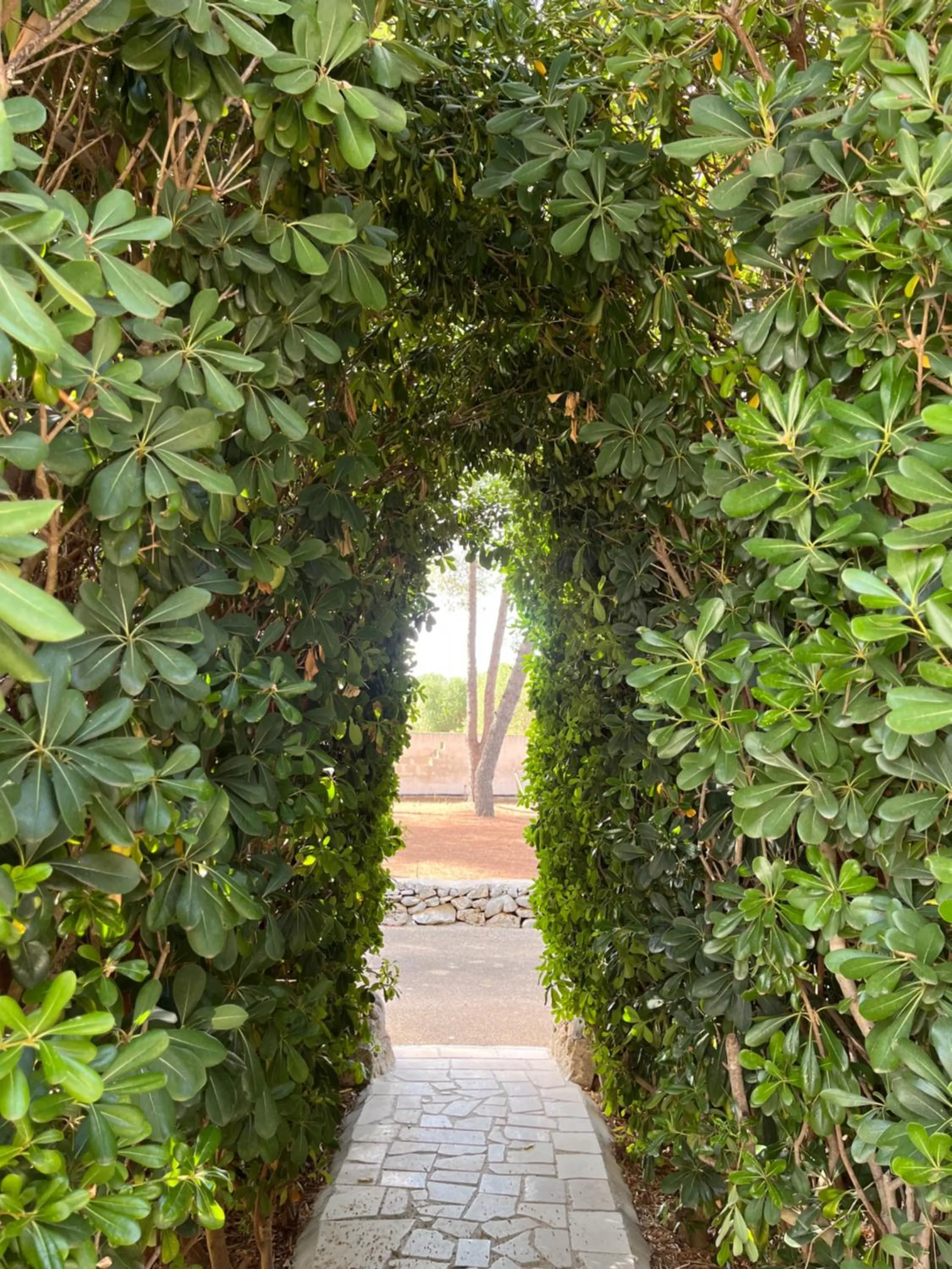 Garden in Casette Masseria La Camardia