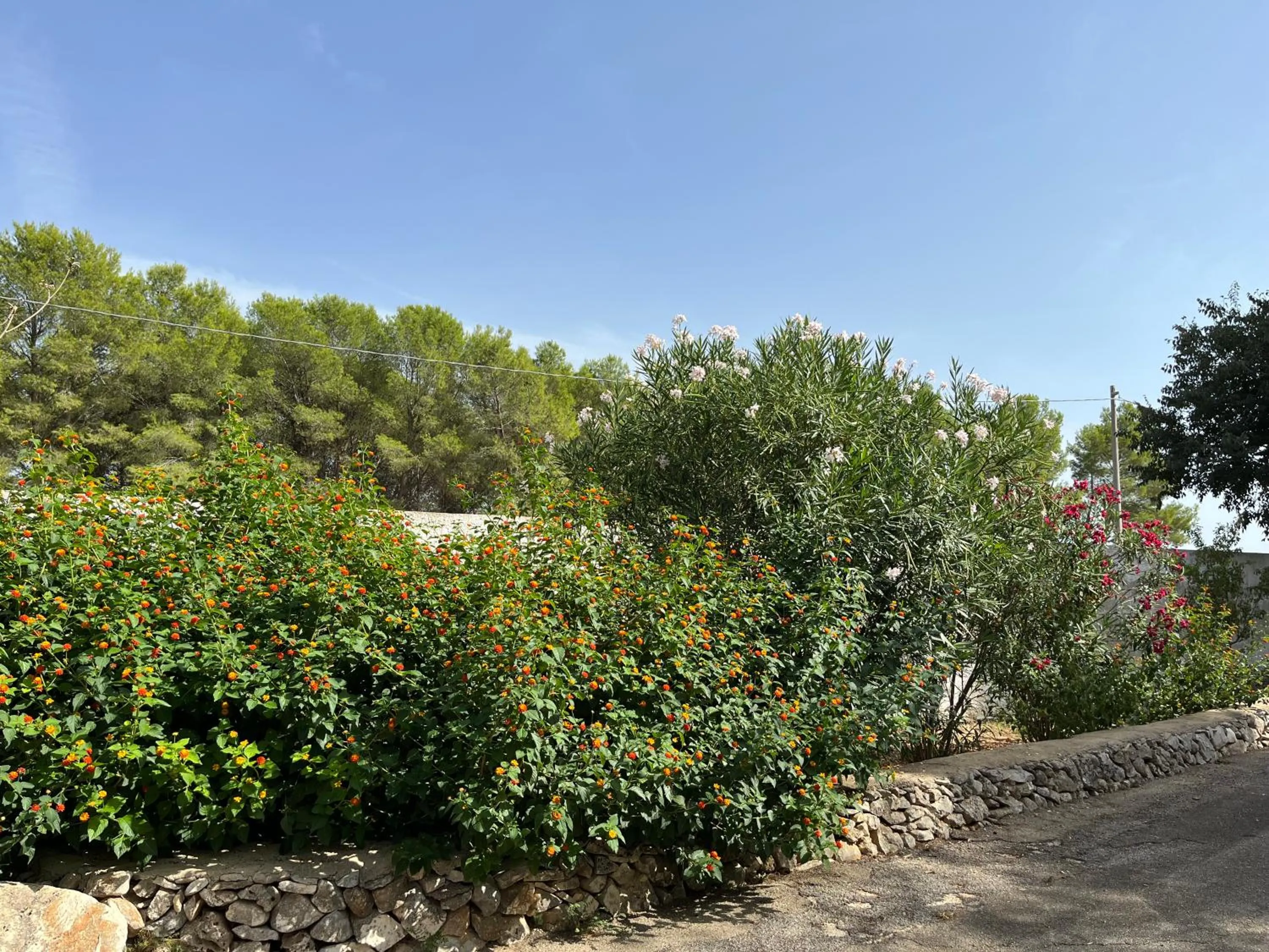 Garden in Casette Masseria La Camardia
