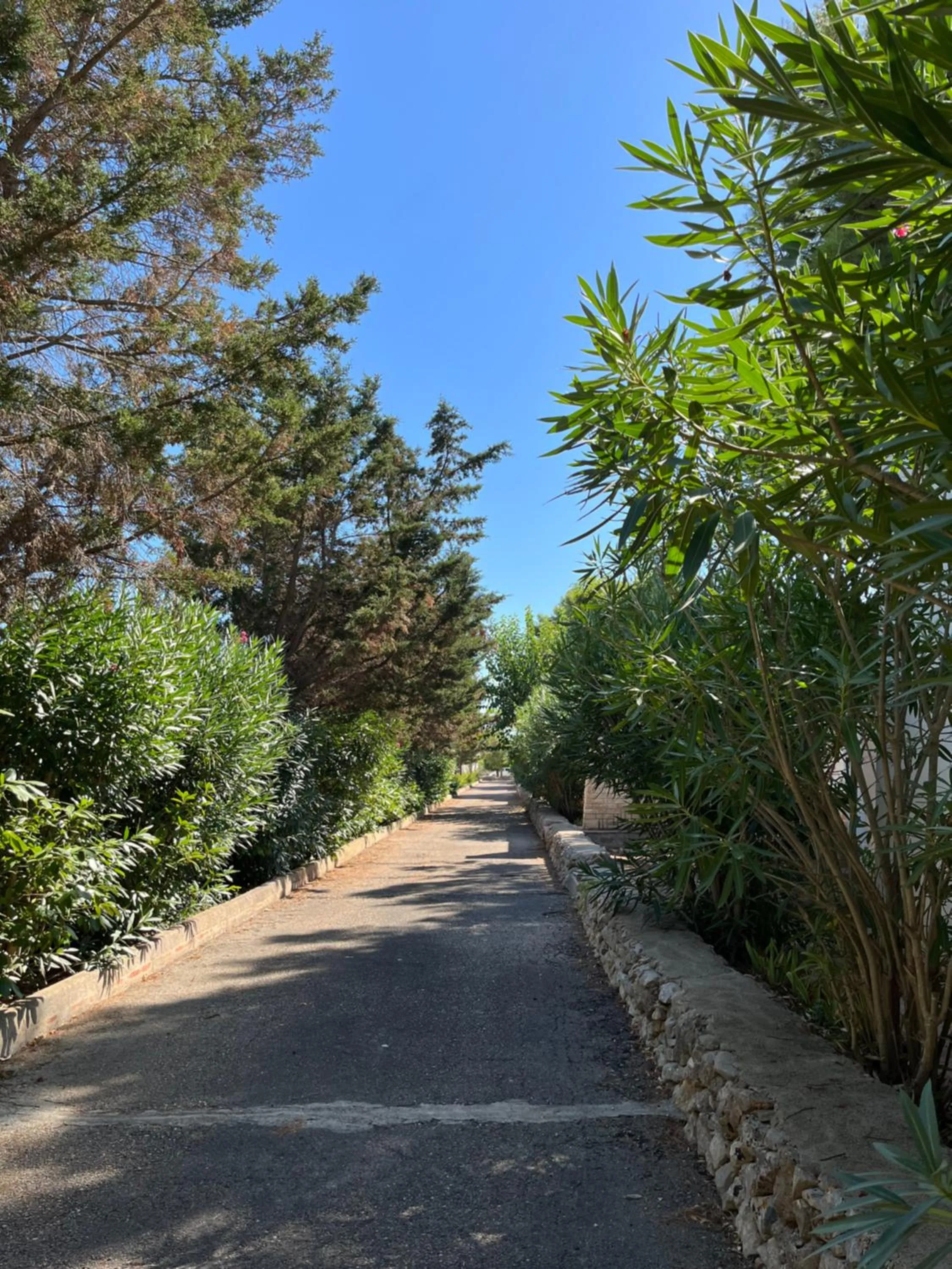 Garden in Casette Masseria La Camardia