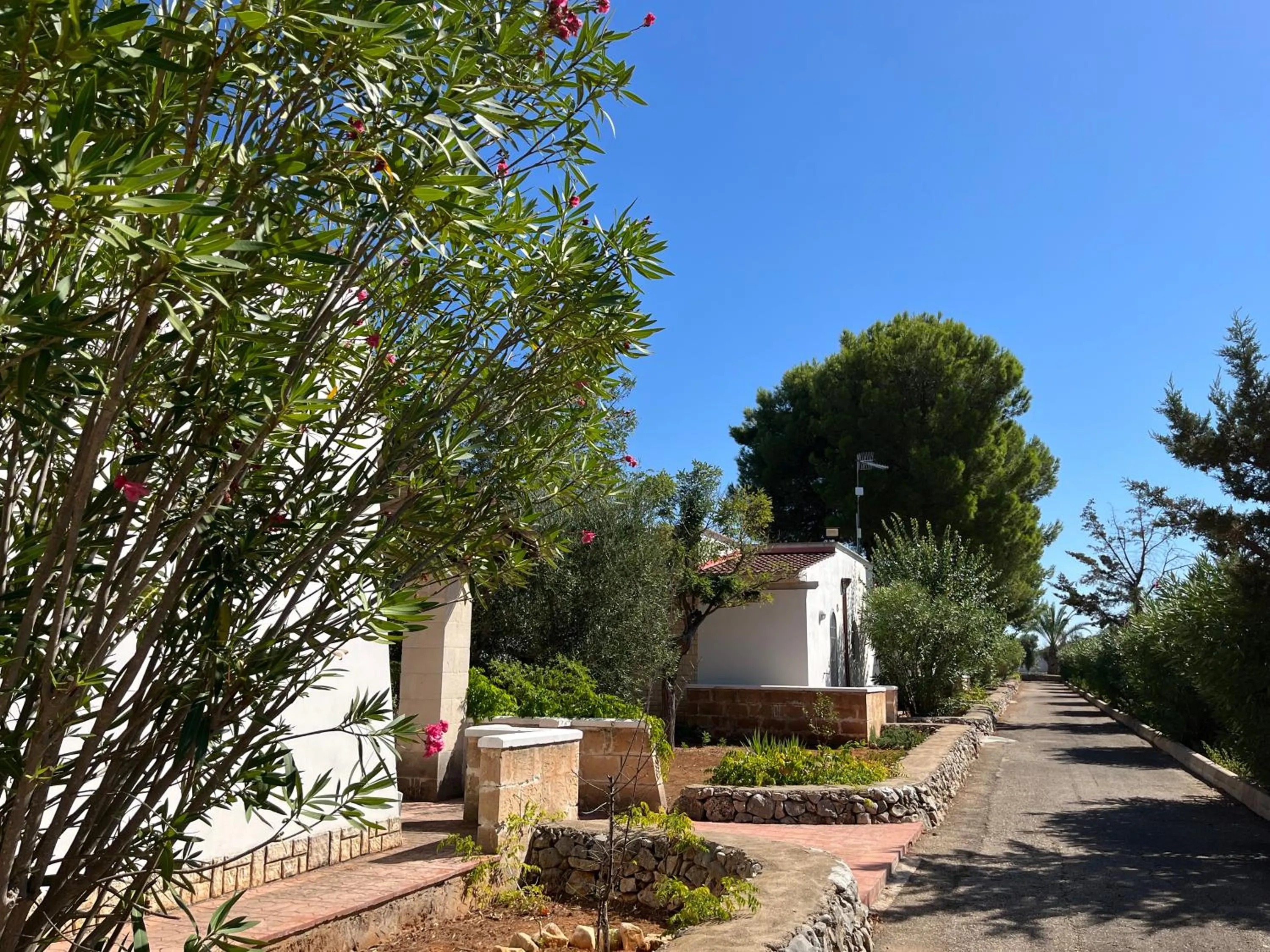 Garden in Casette Masseria La Camardia