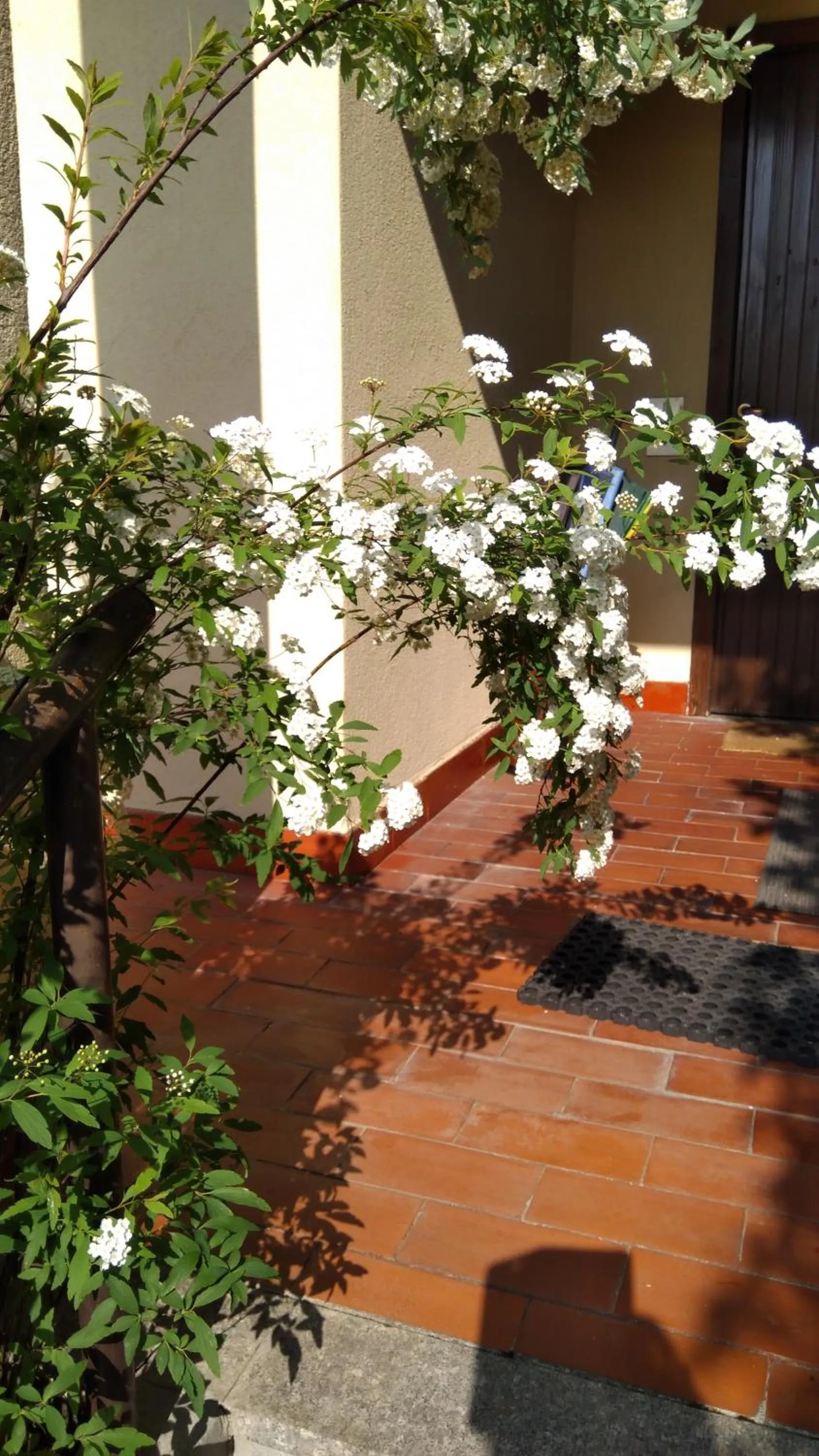 Property building in B&B Il Glicine di Basiglio