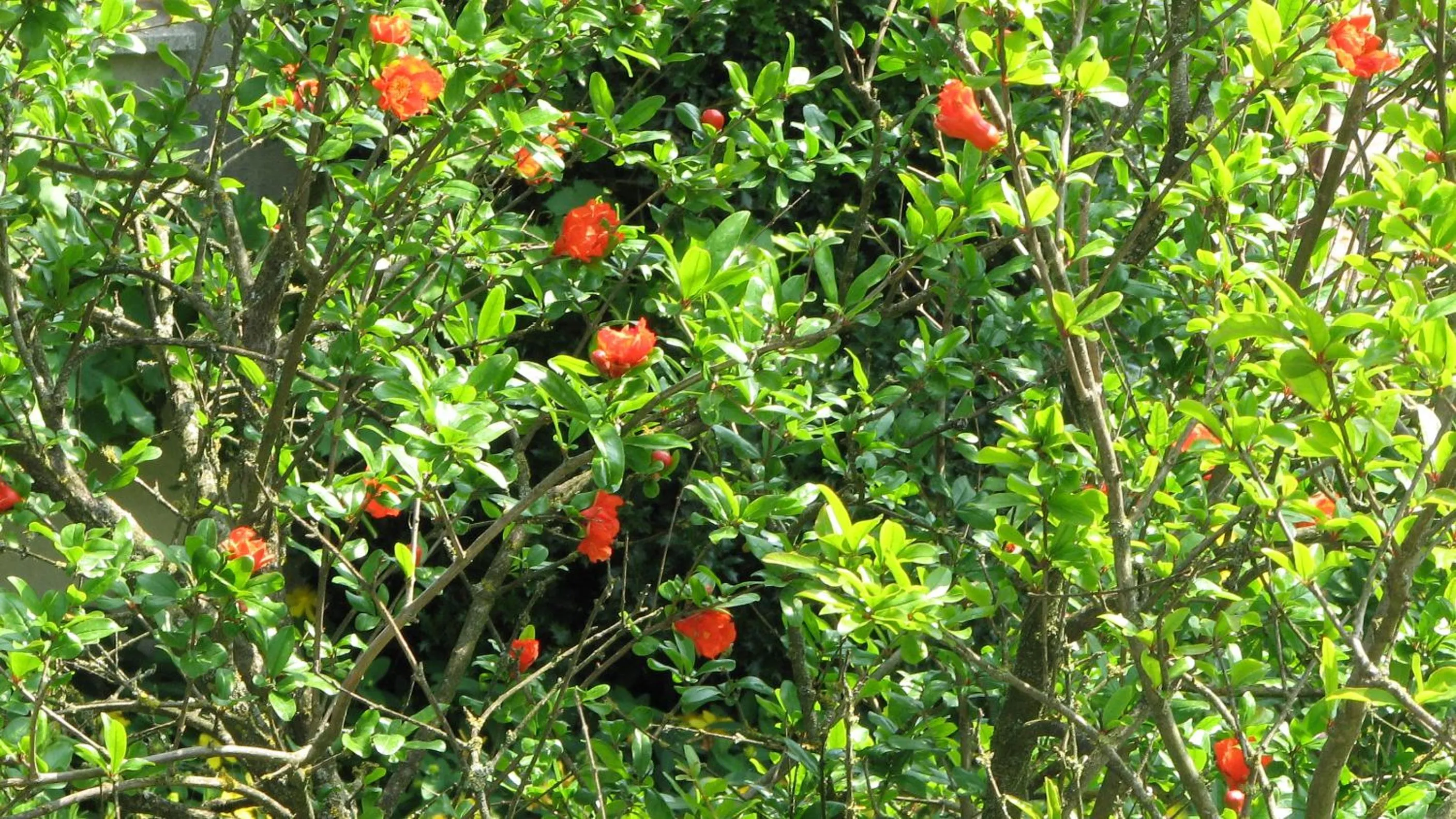 Other in B&B Il Glicine di Basiglio