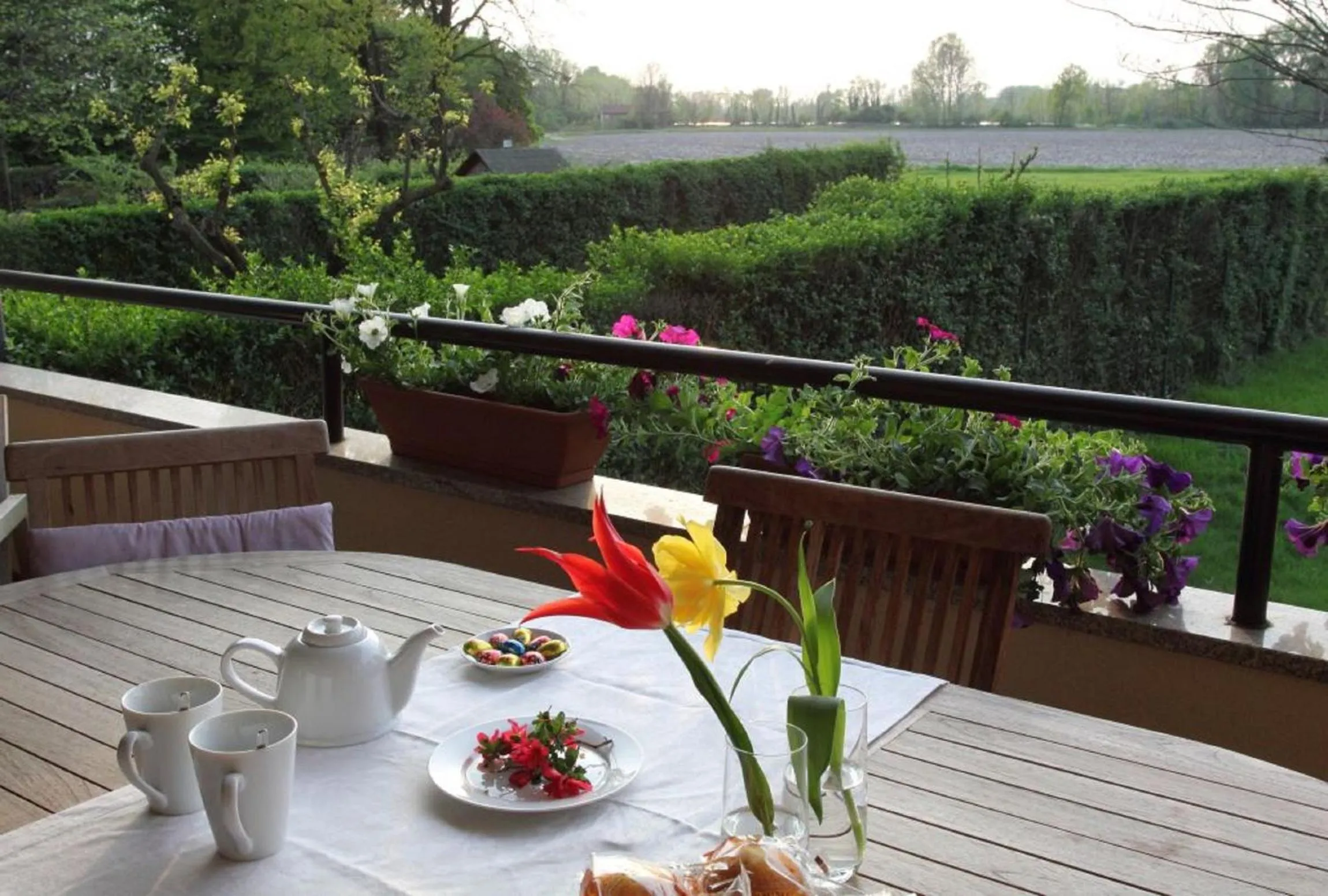 Garden in B&B Il Glicine di Basiglio