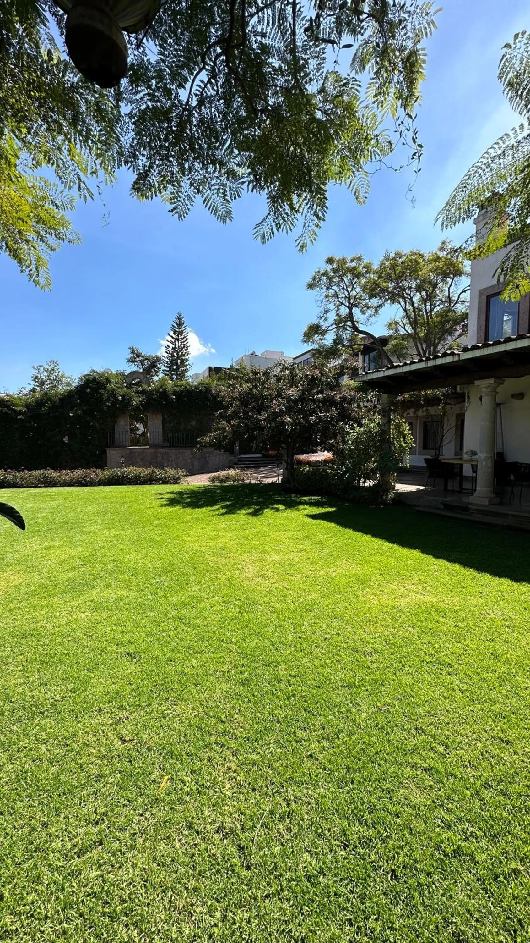 Garden in Maja Hotel Boutique