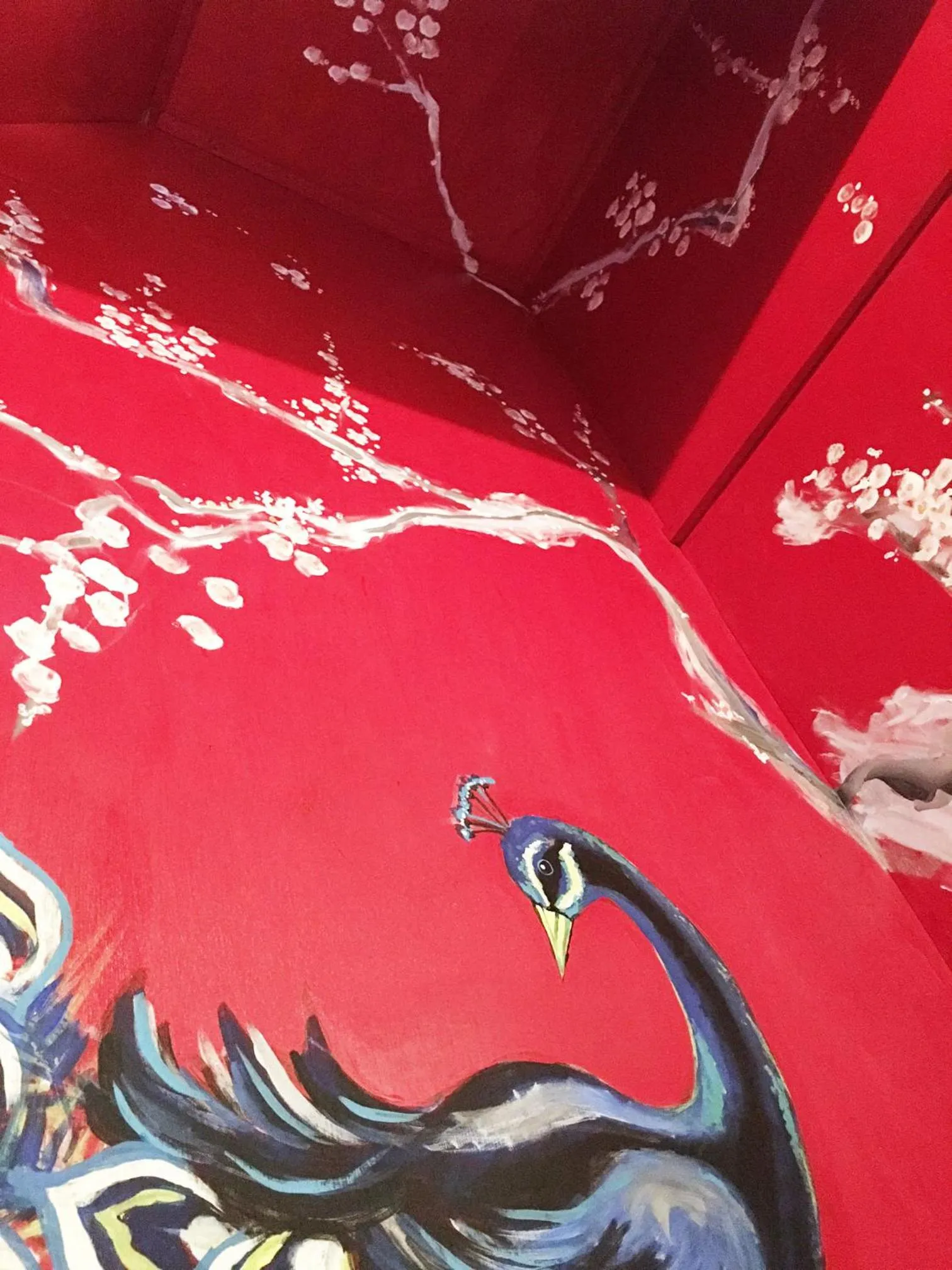 Area and facilities in Korakuan