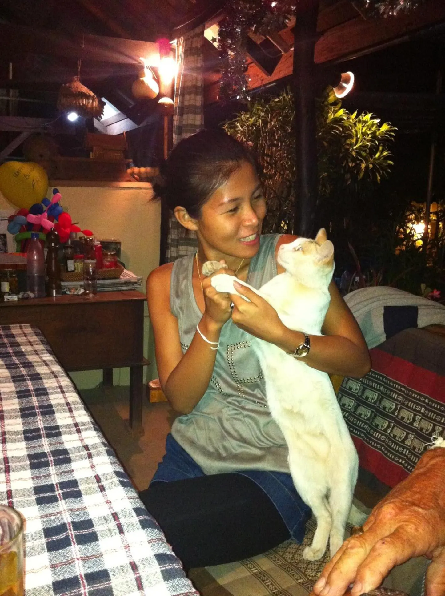Guests in Bamboo Garden