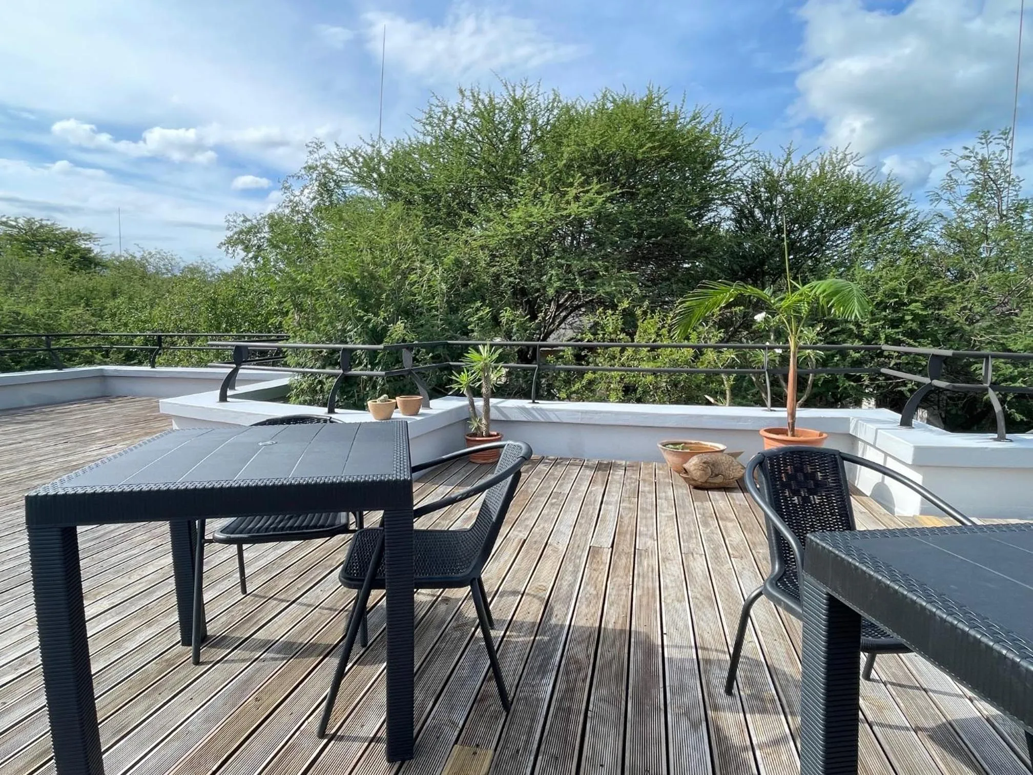 Natural landscape in Switsongo B&B