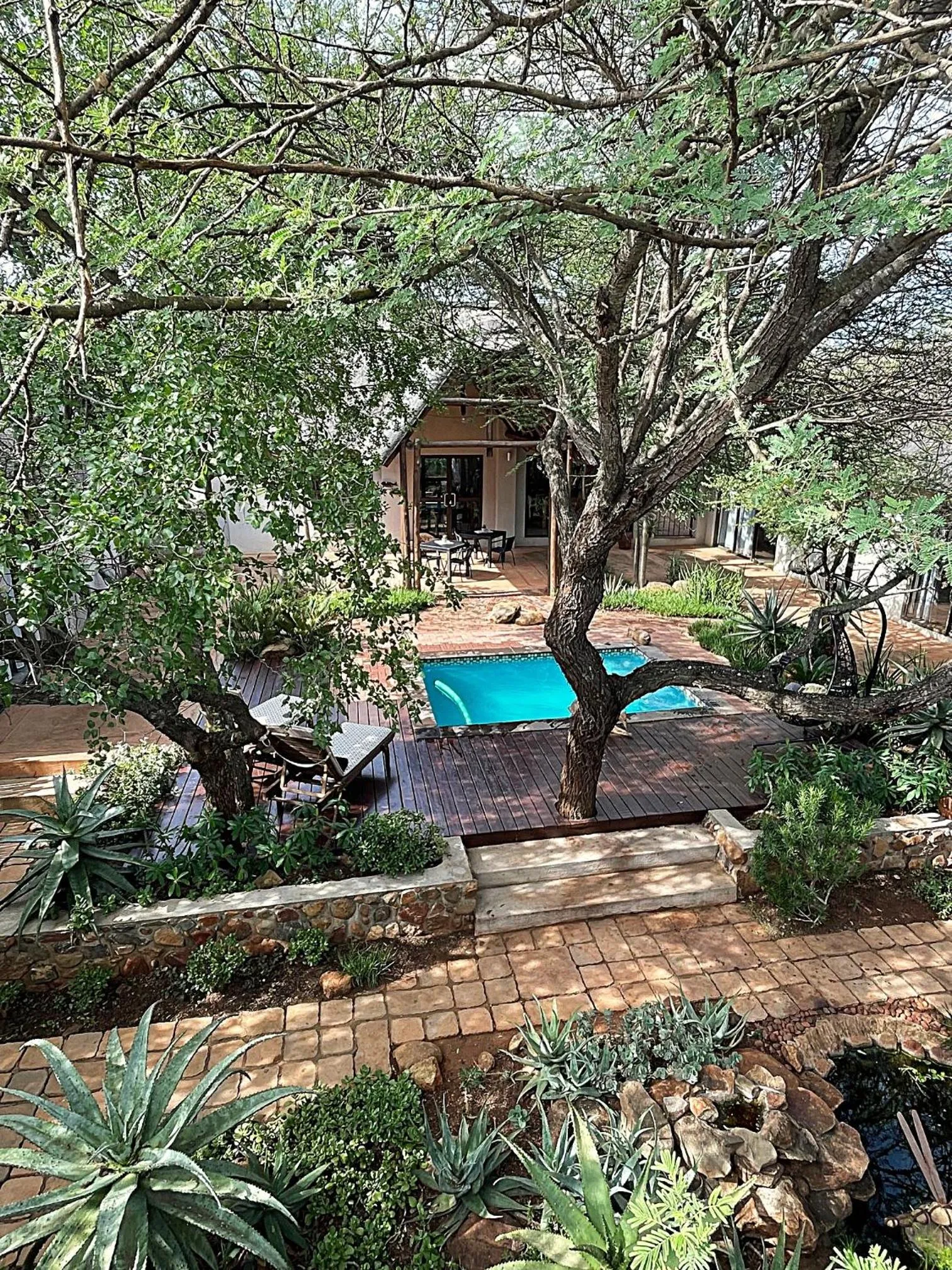 Garden in Switsongo B&B