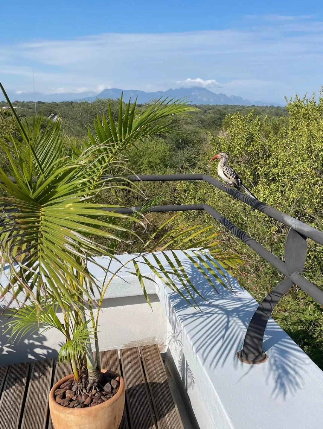Balcony/Terrace in Switsongo B&B