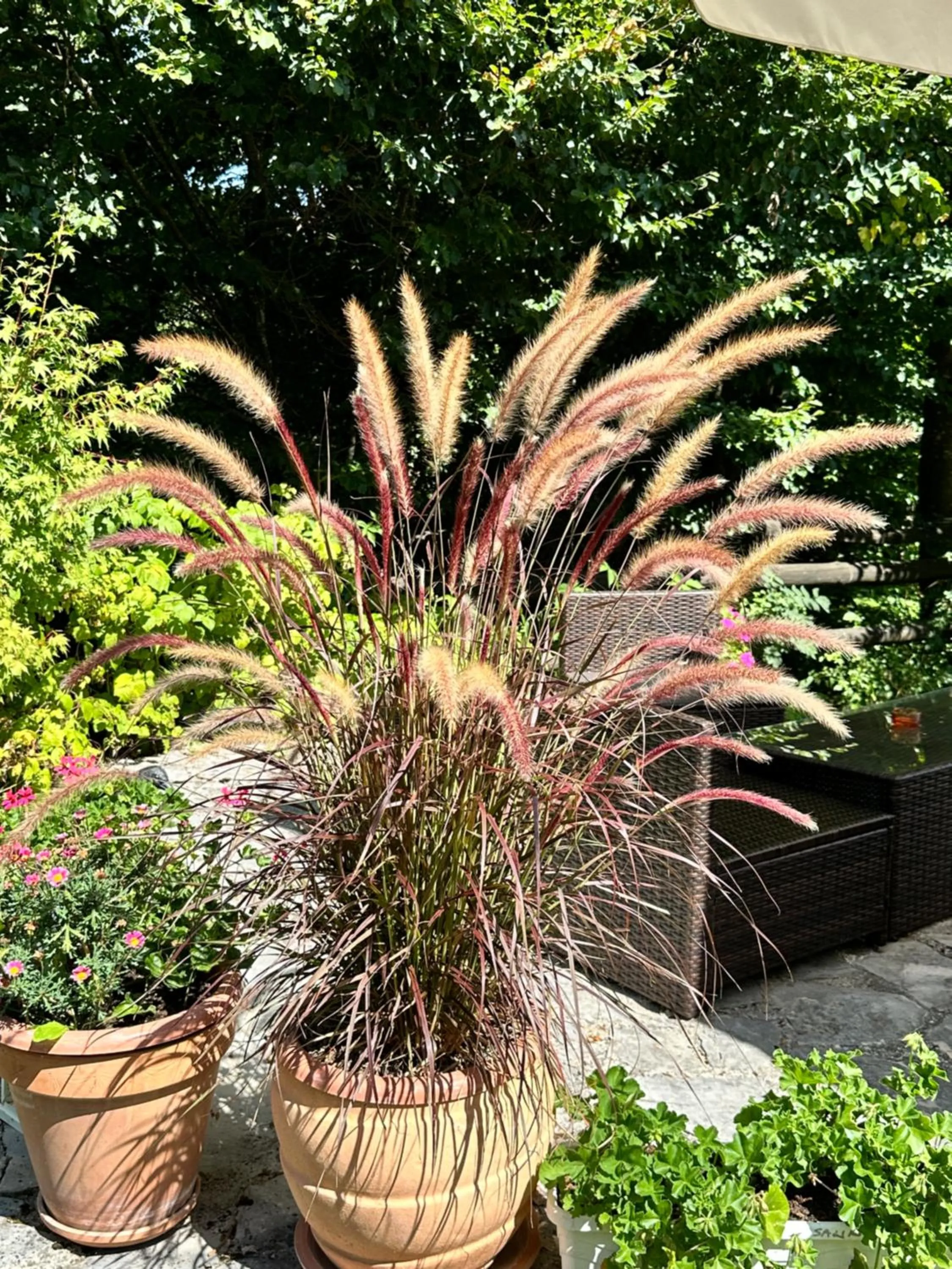 Villa Lykos Plitvice