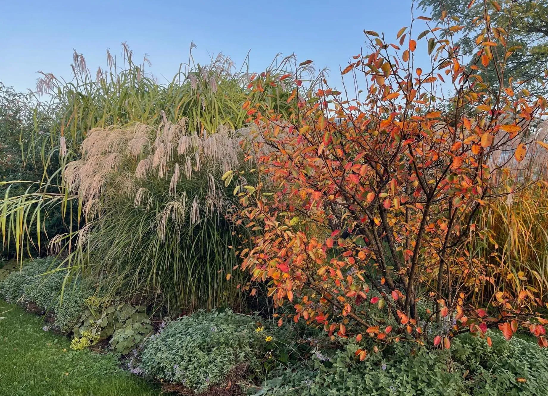 Garden in Alwine - Landhaus an den Spreewiesen