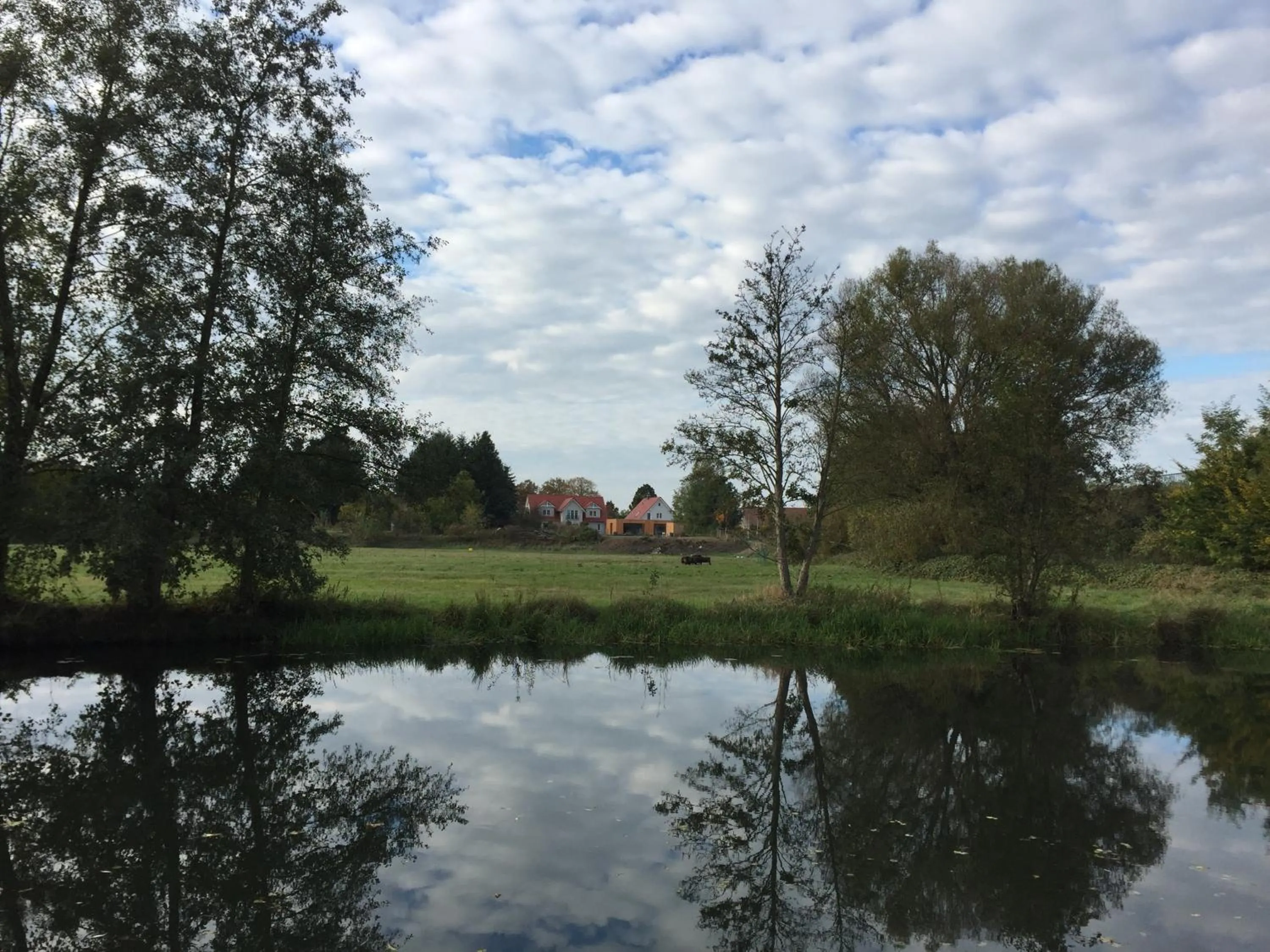 Natural landscape in Alwine - Landhaus an den Spreewiesen