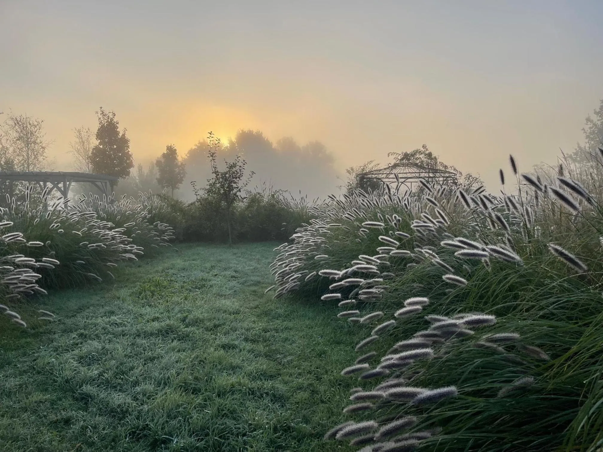 Garden in Alwine - Landhaus an den Spreewiesen