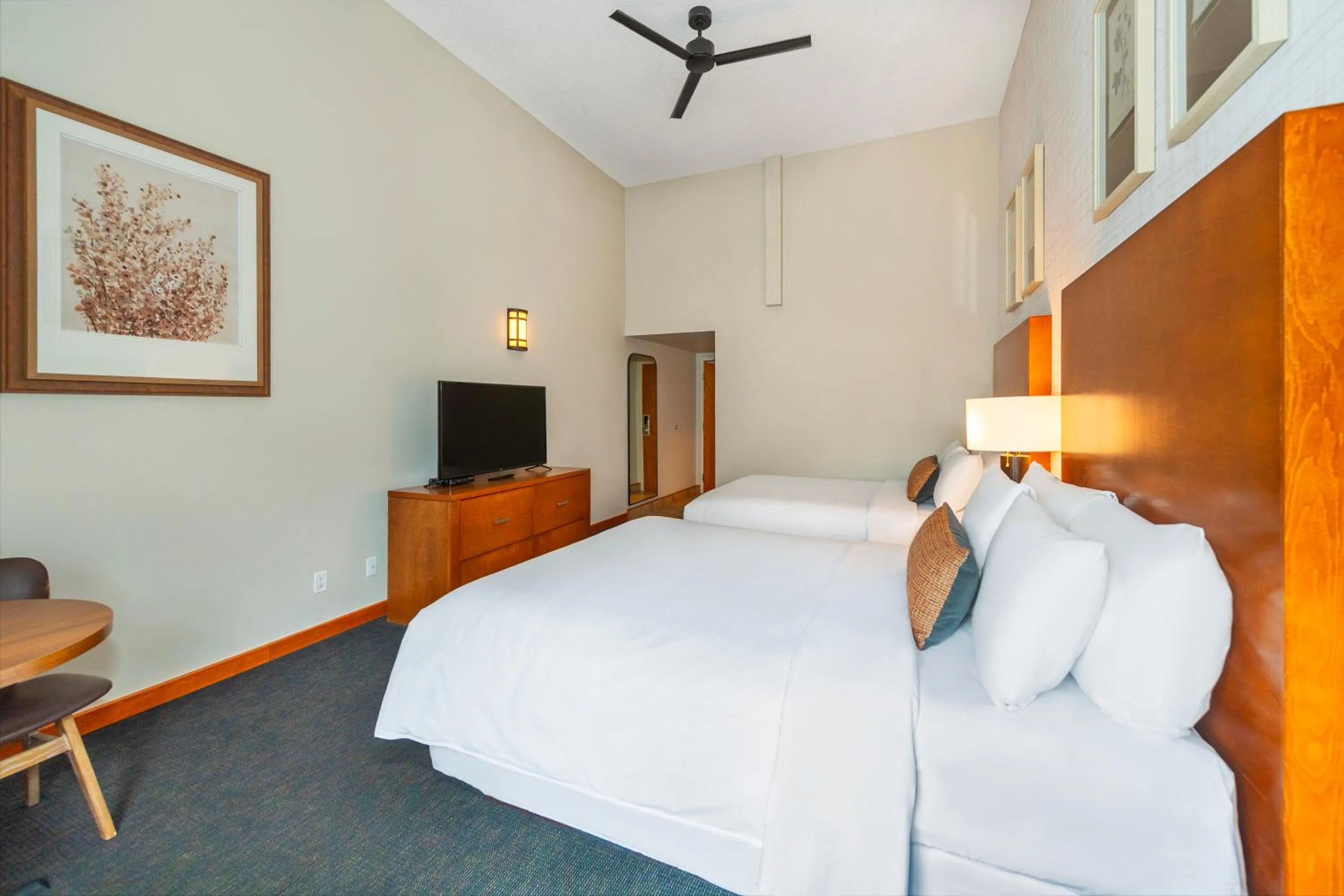 TV and multimedia, Bed in Banff Inn