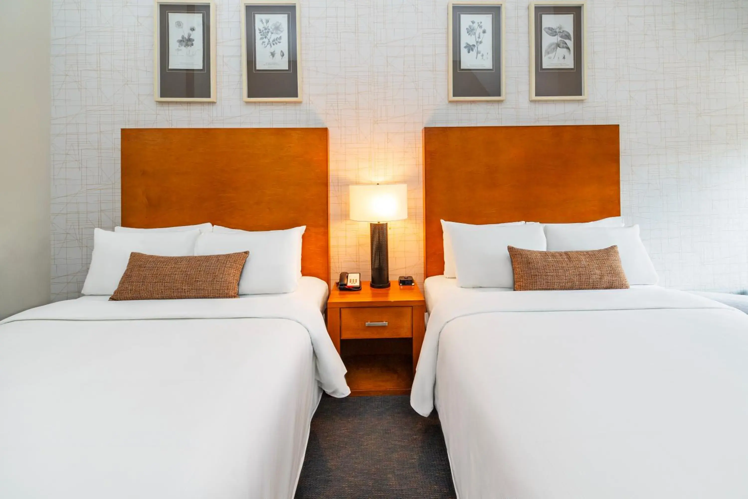 Superior Queen Room in Banff Inn Superior Queen Room in Banff Inn