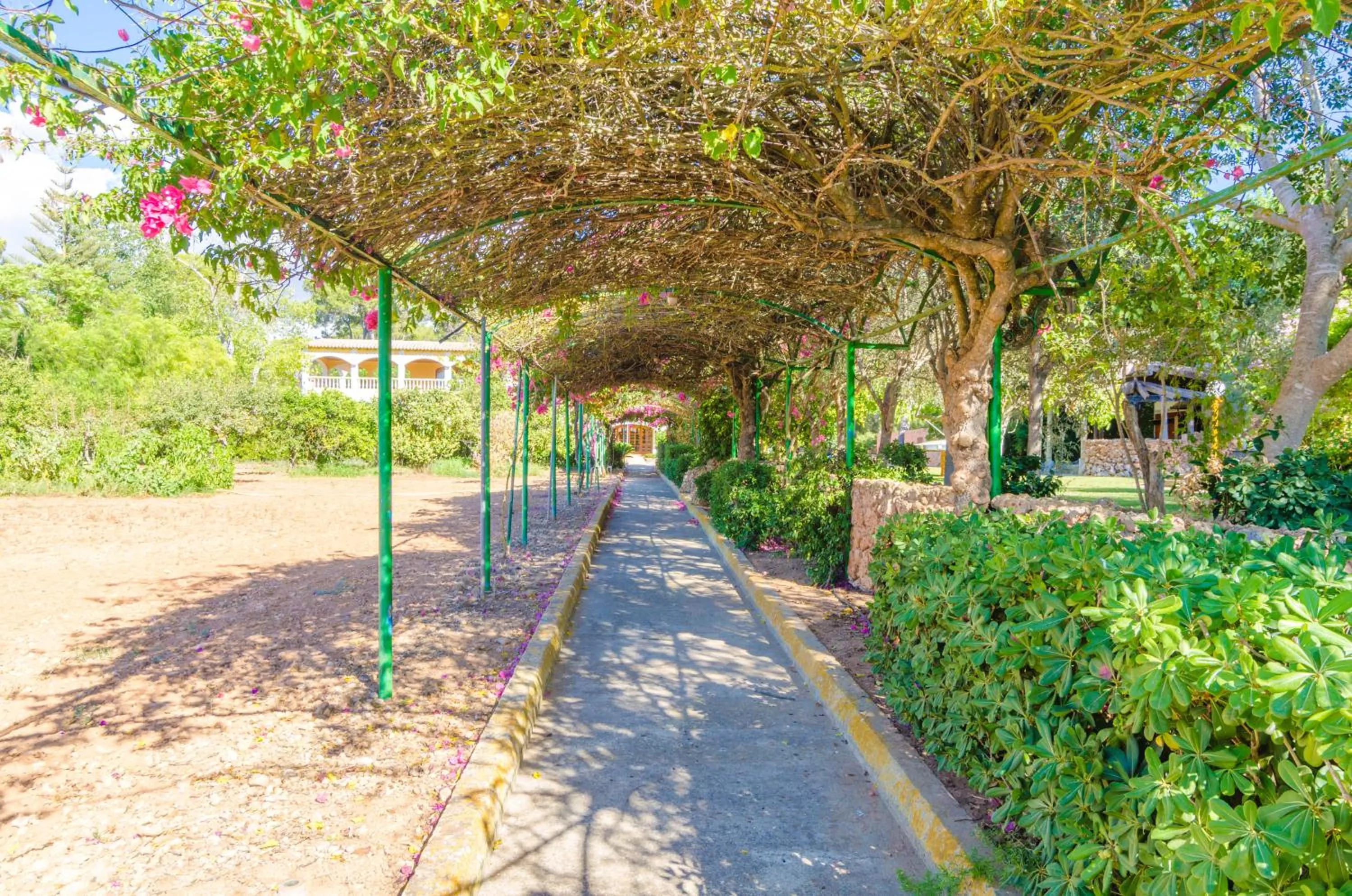 Garden in Finca Son Pou