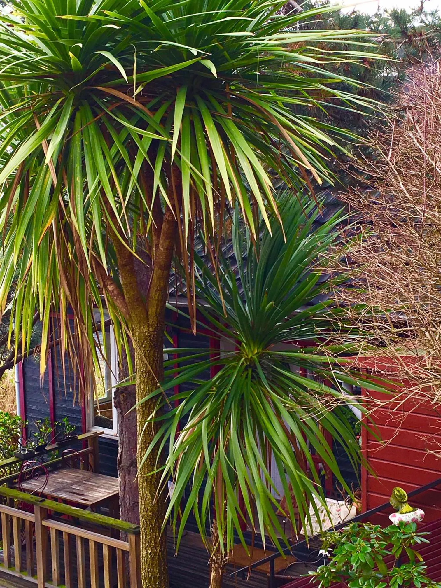 Les chambres du Chat Perché