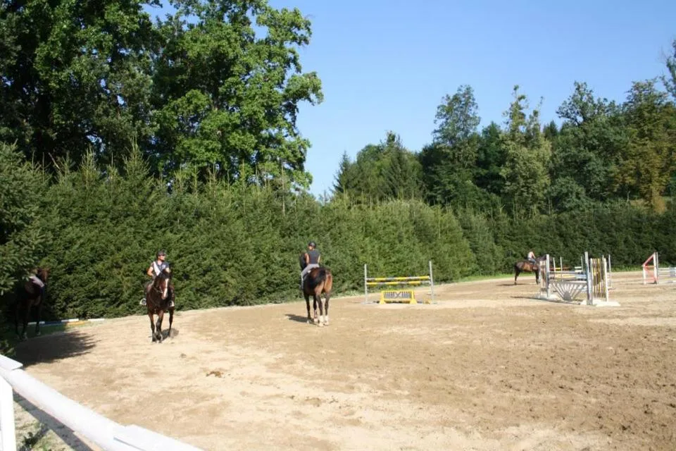 Horse-riding in Sorgerhof