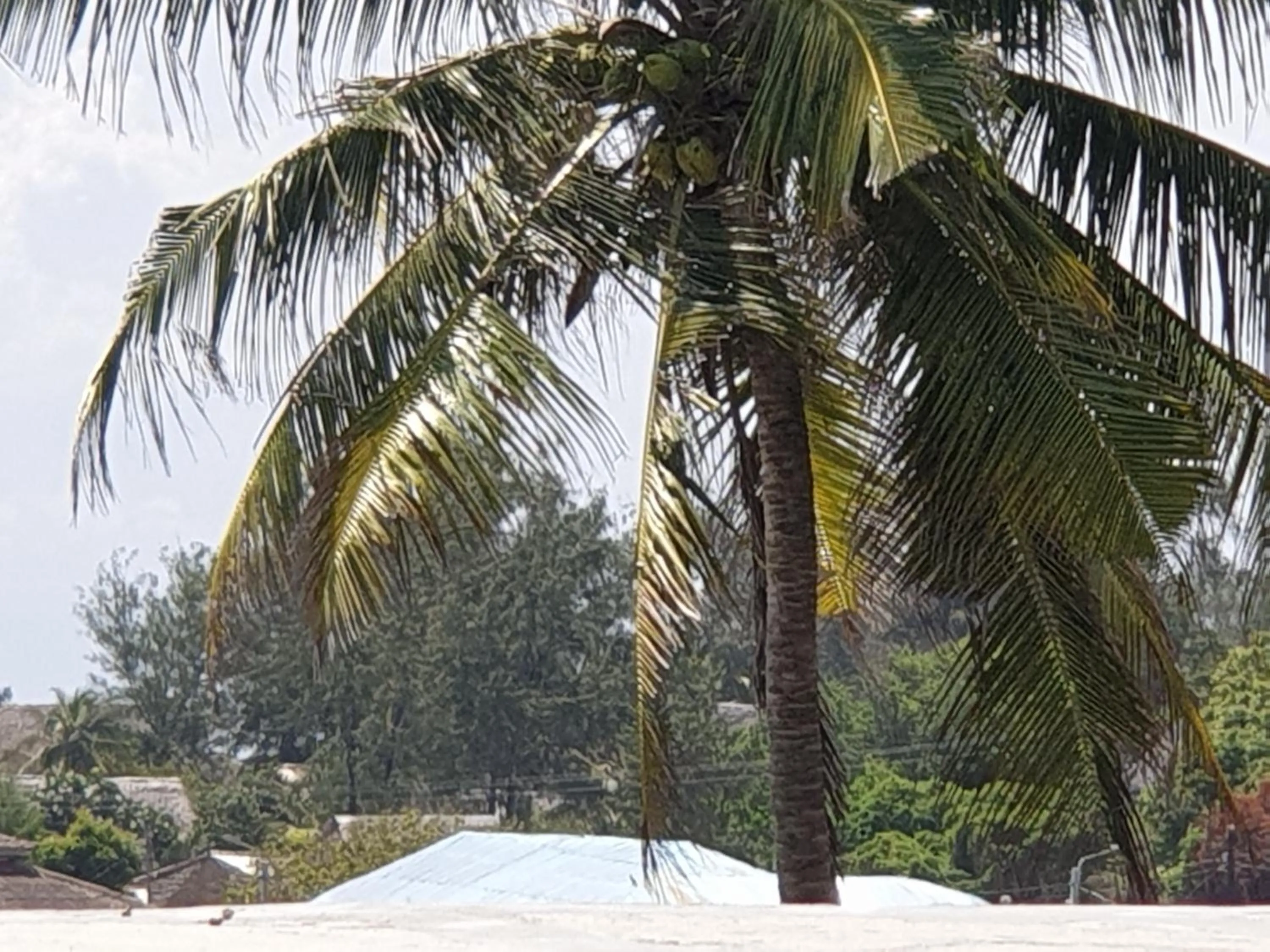 View (from property/room) in Marijani Holiday Resort