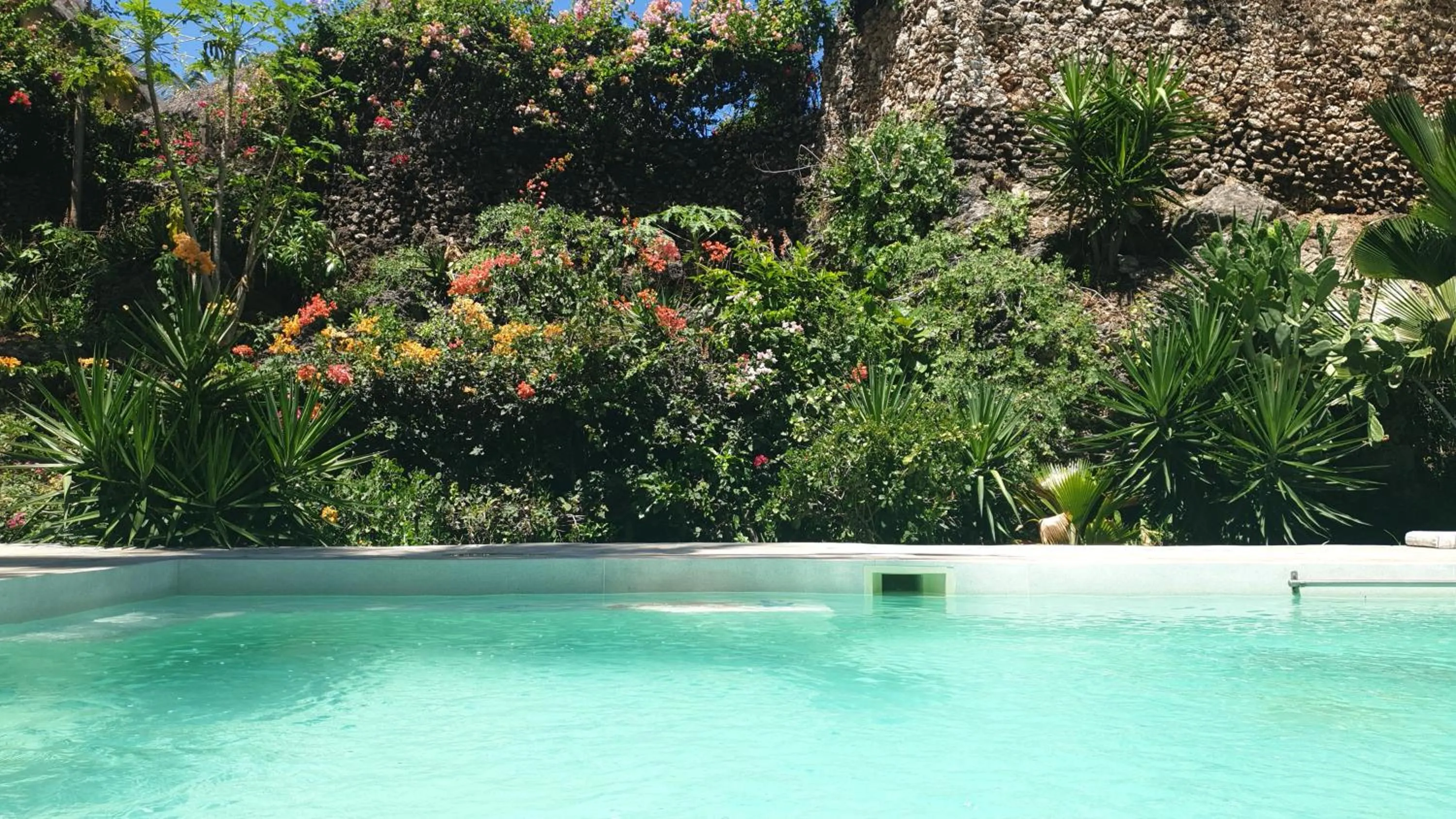 Garden view in Marijani Holiday Resort