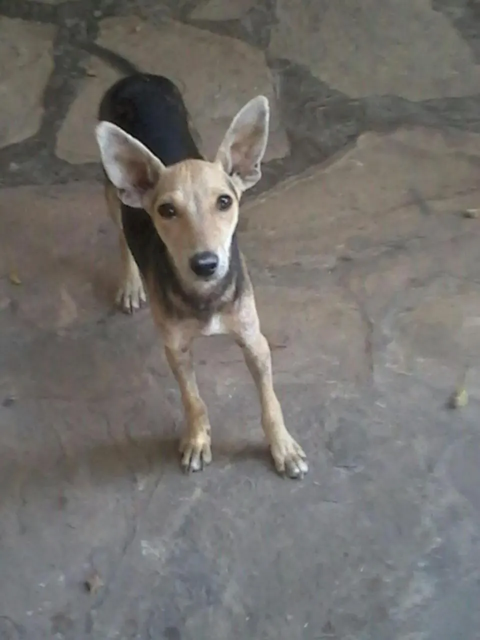 Property building in Marijani Holiday Resort