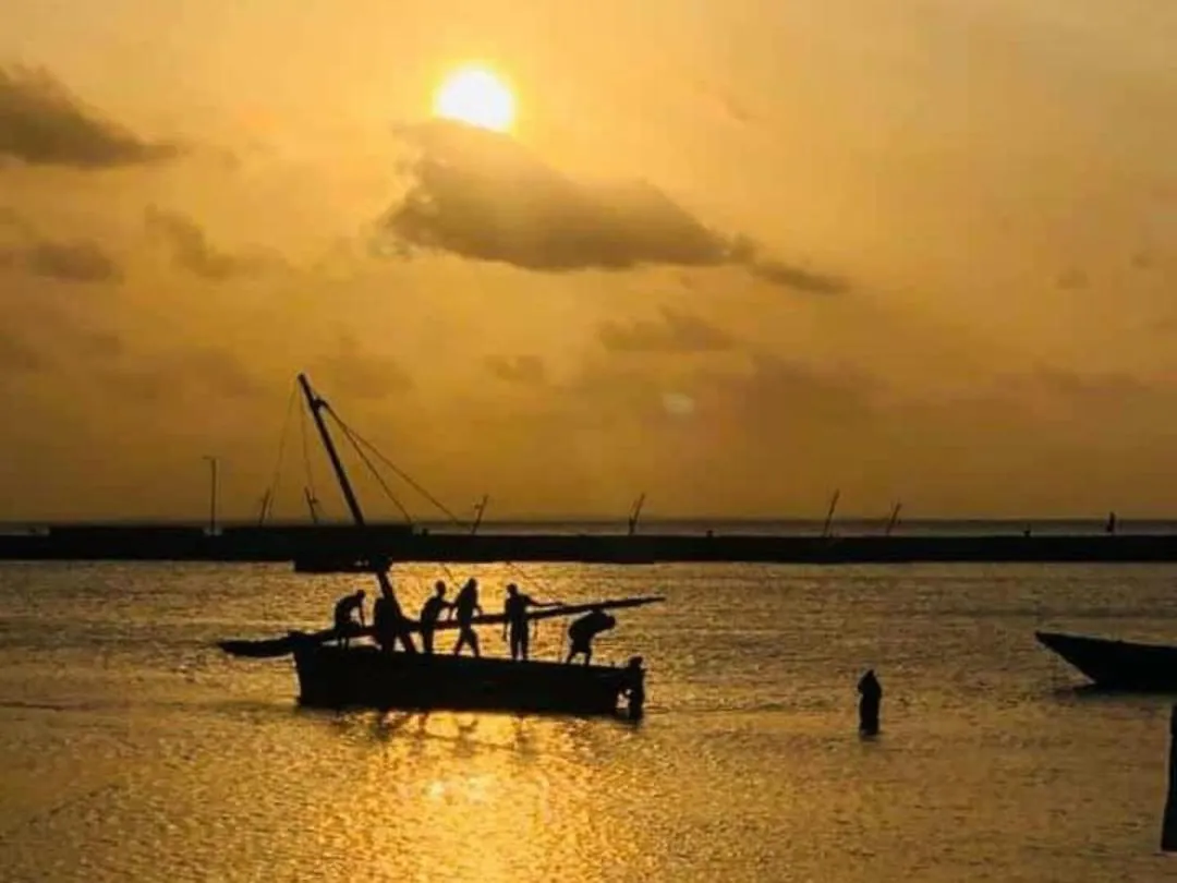 Natural landscape in Marijani Holiday Resort