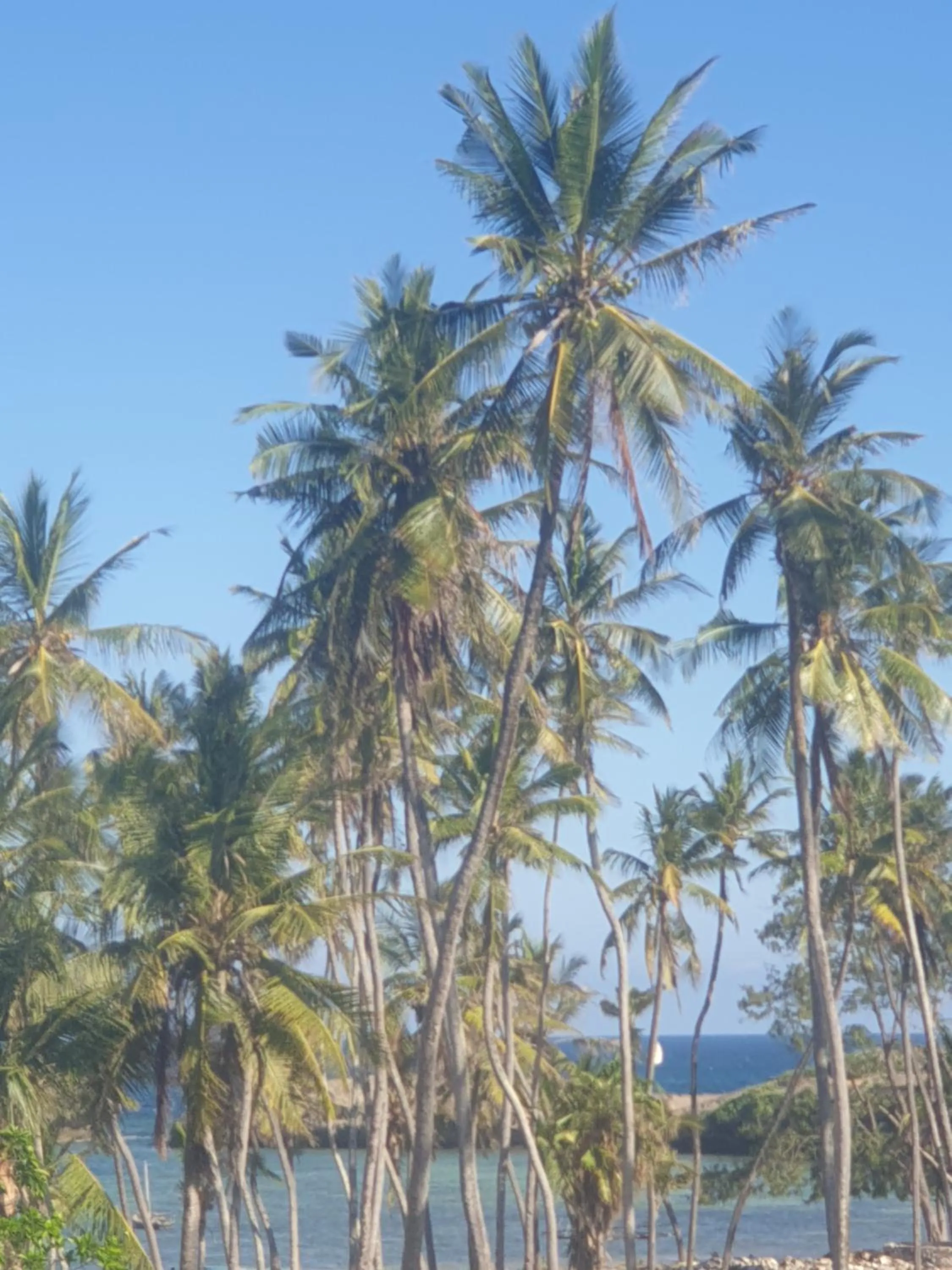 Sea view in Marijani Holiday Resort