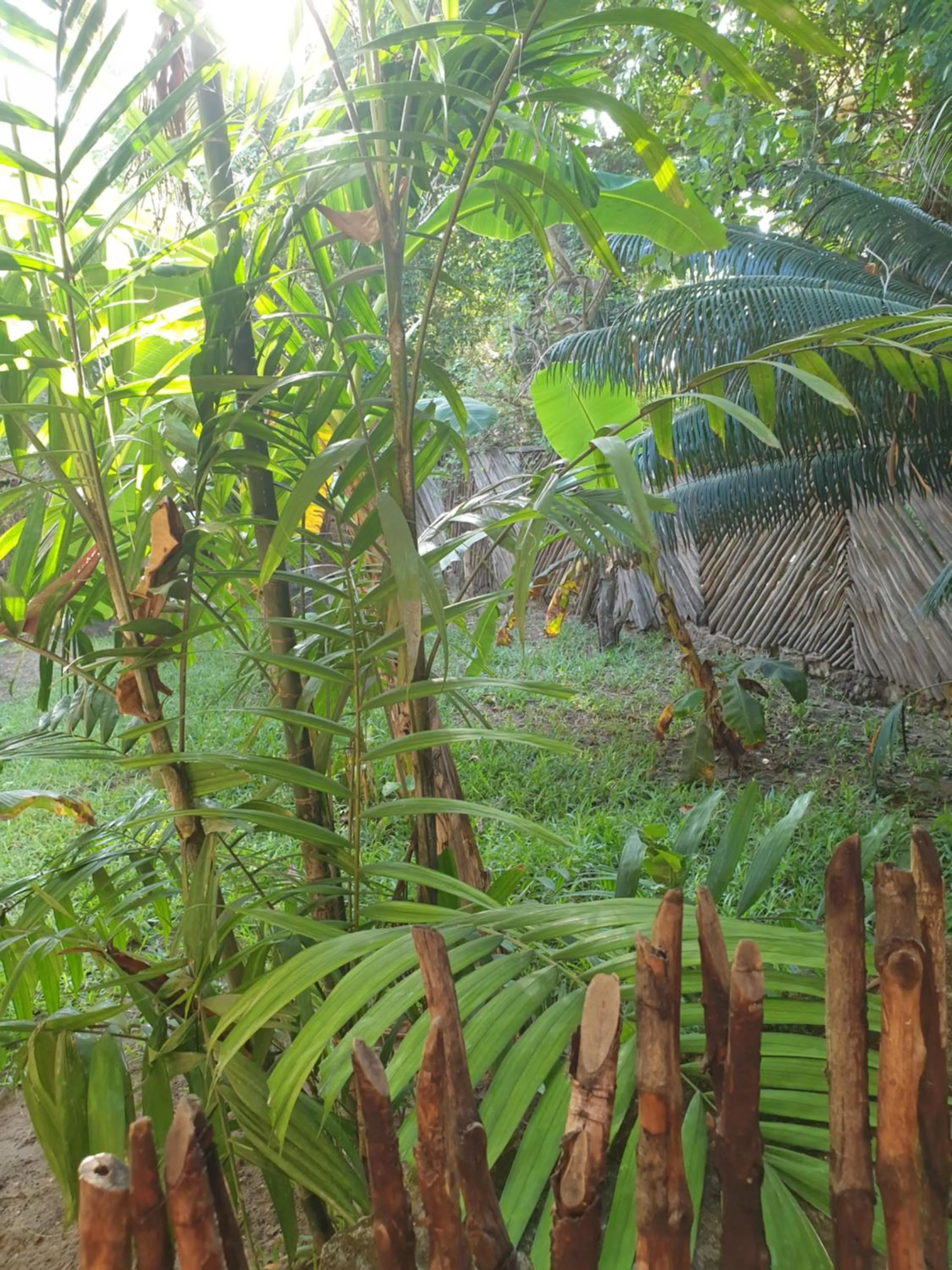 Day in Marijani Holiday Resort