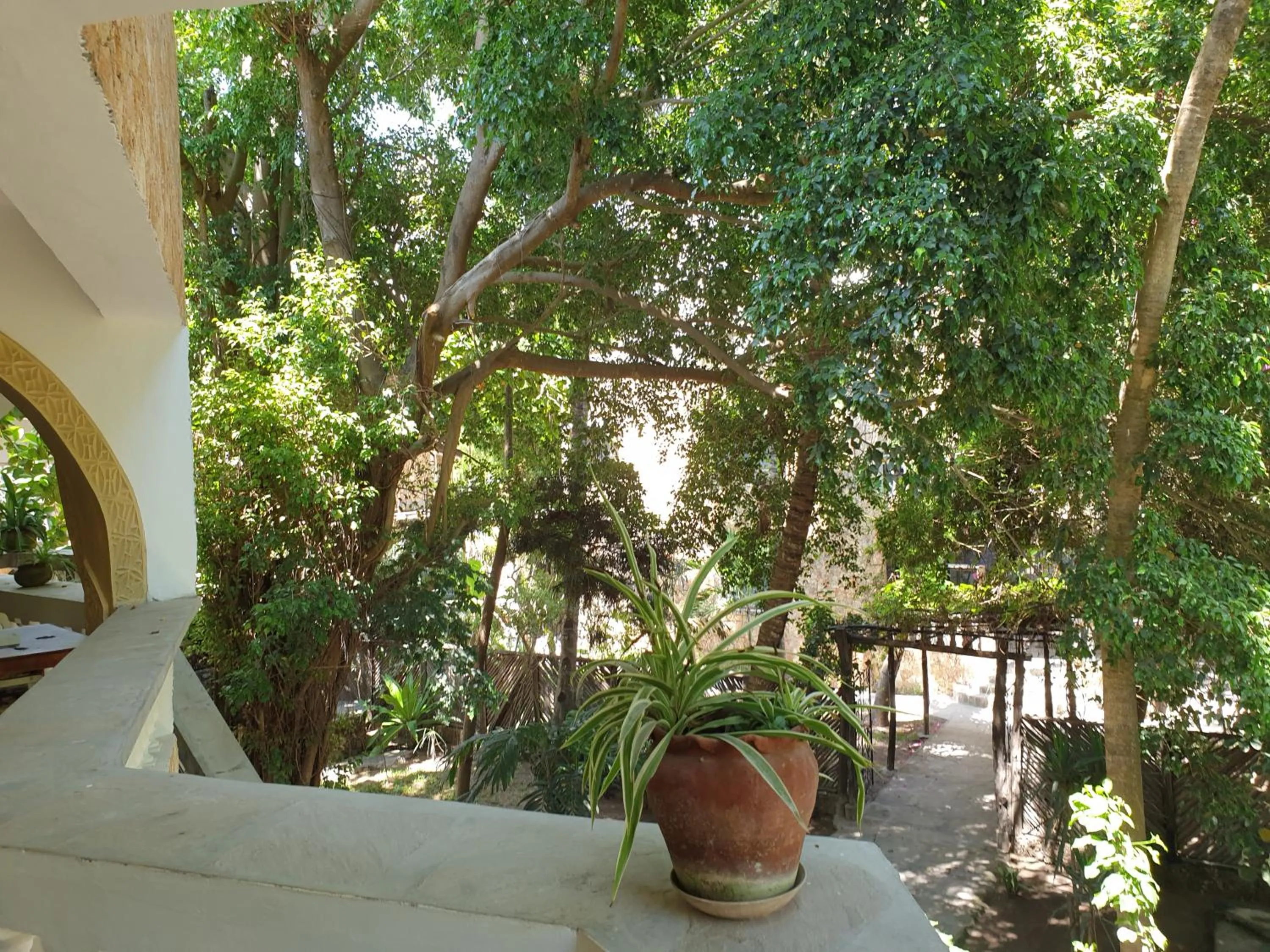 Garden in Marijani Holiday Resort