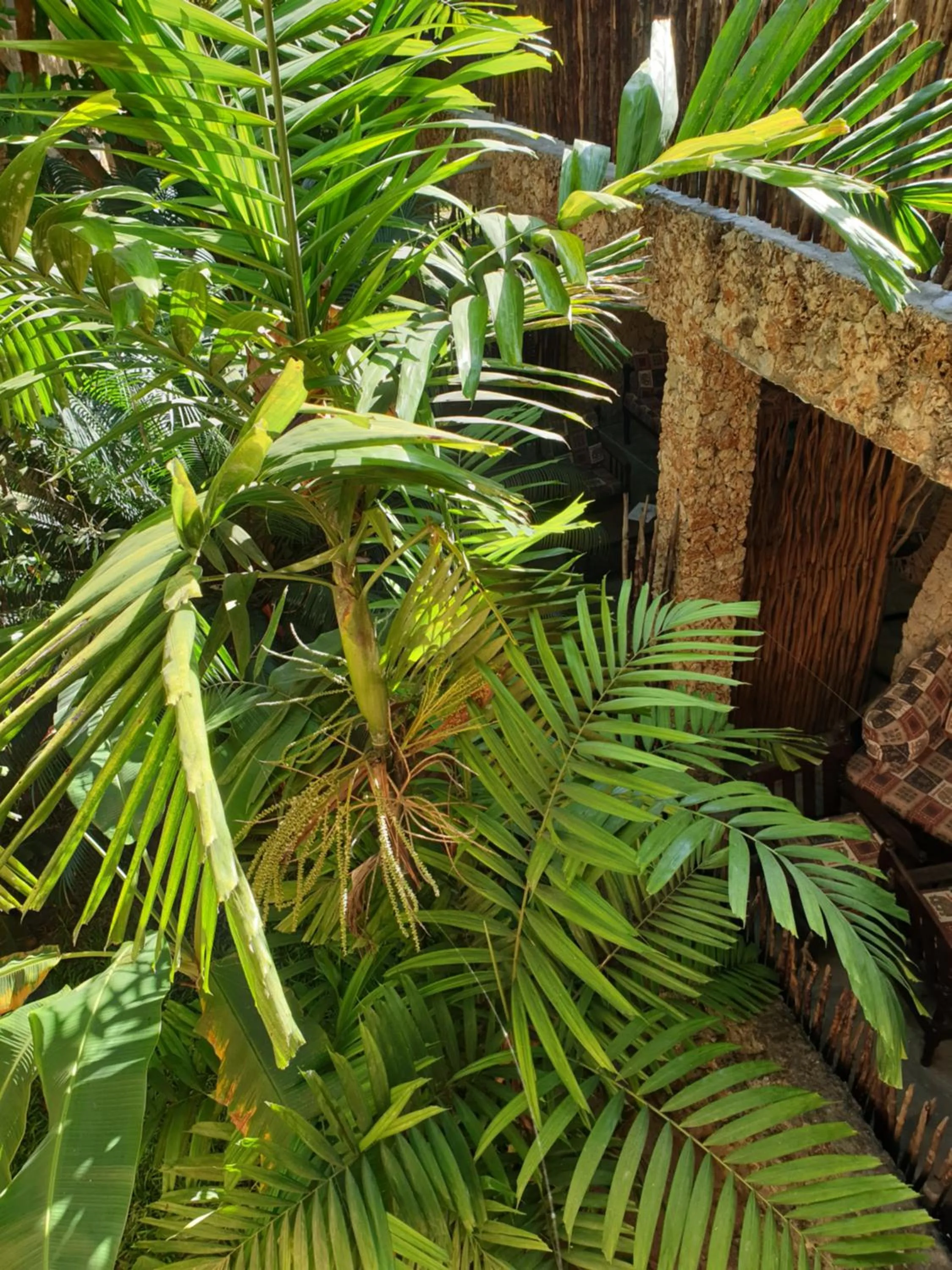 Garden in Marijani Holiday Resort