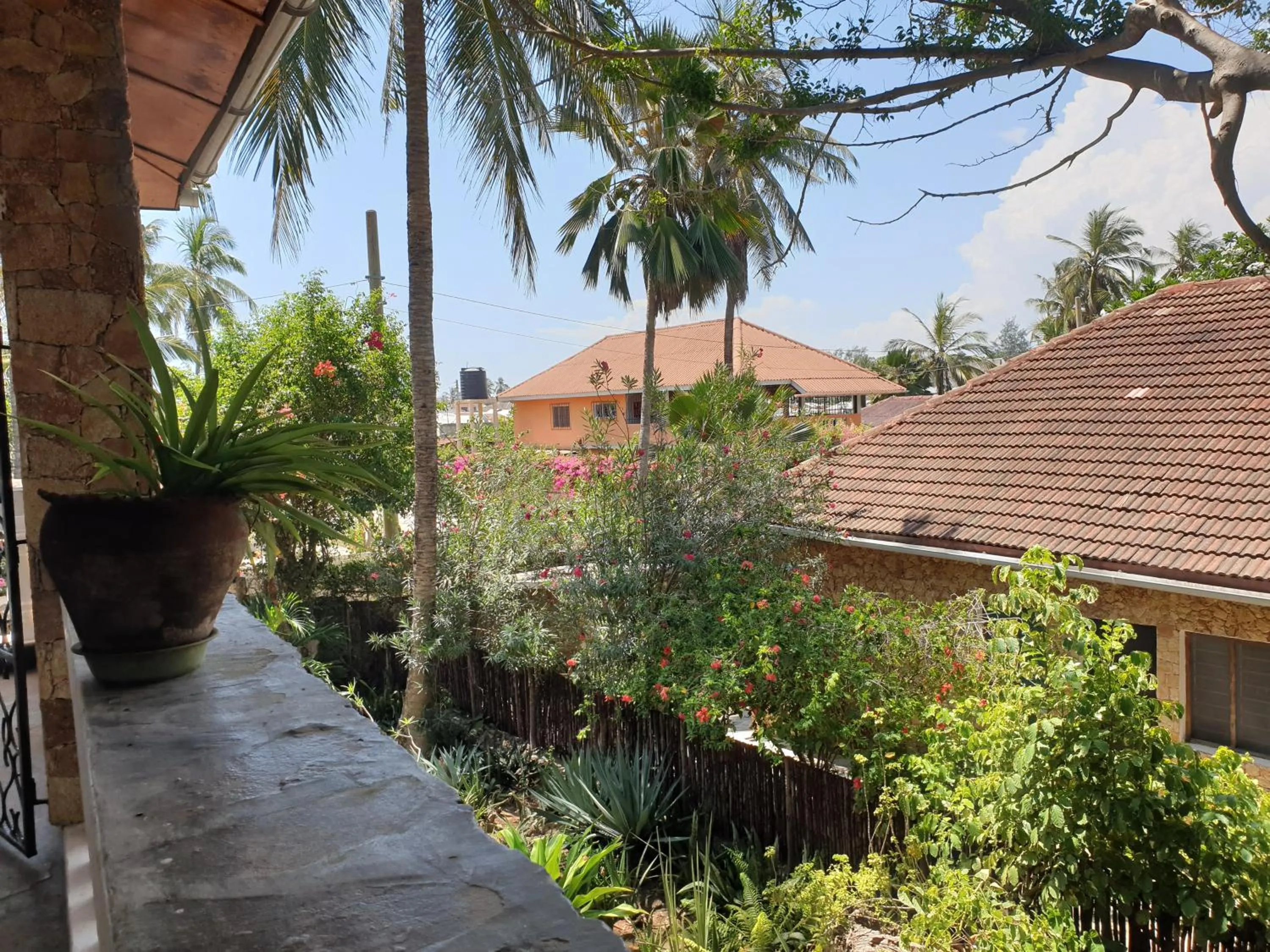 Neighbourhood in Marijani Holiday Resort