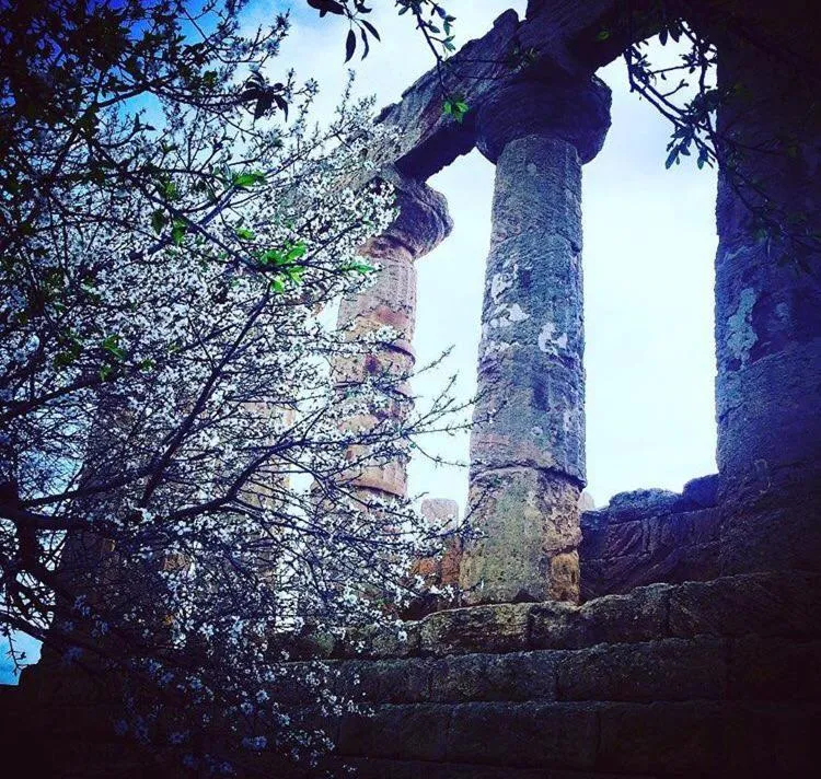 Nearby landmark in Bed and breakfast MieleZenzero