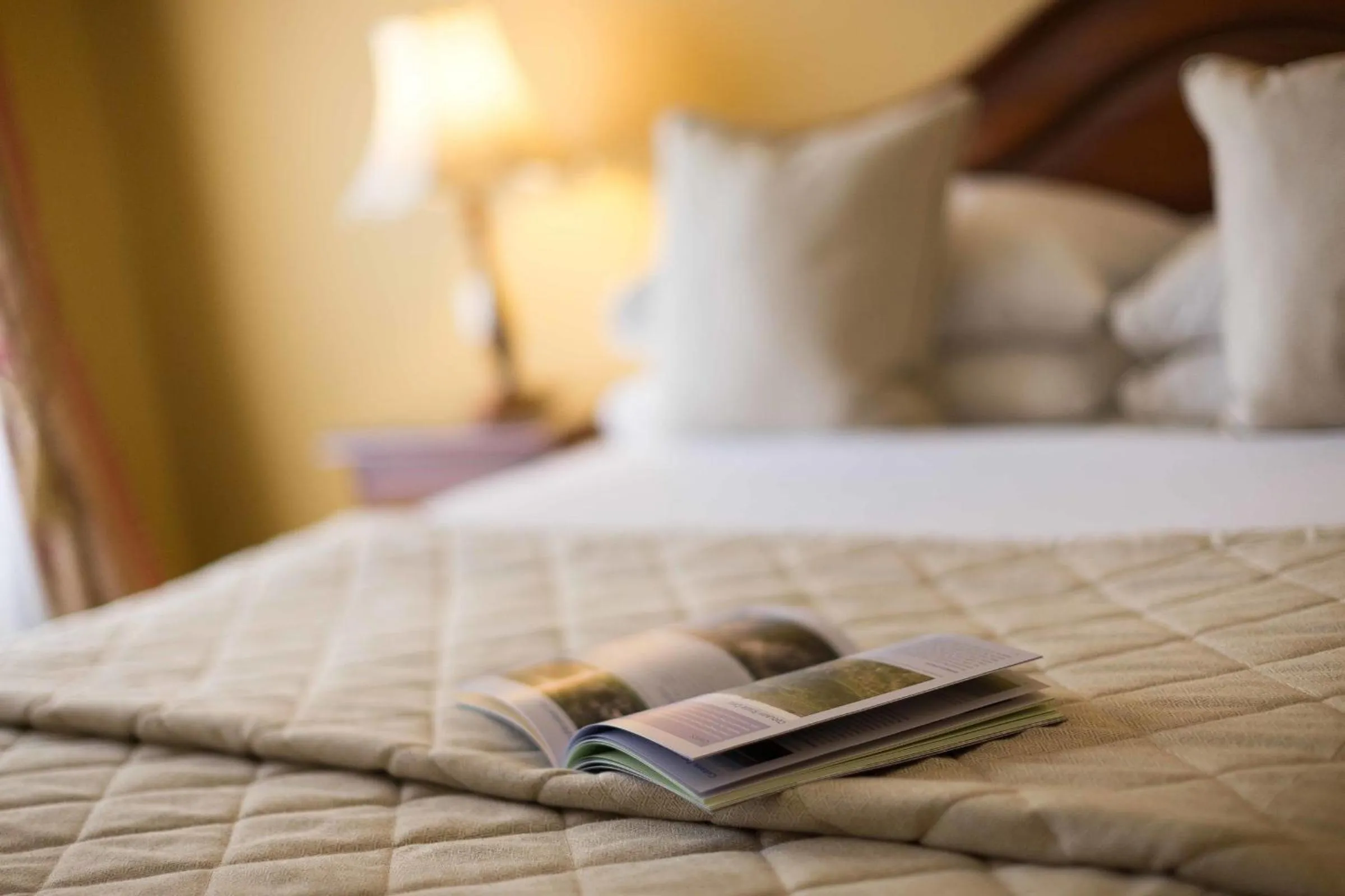 Decorative detail, Bed in Sheedy's Boutique Hotel