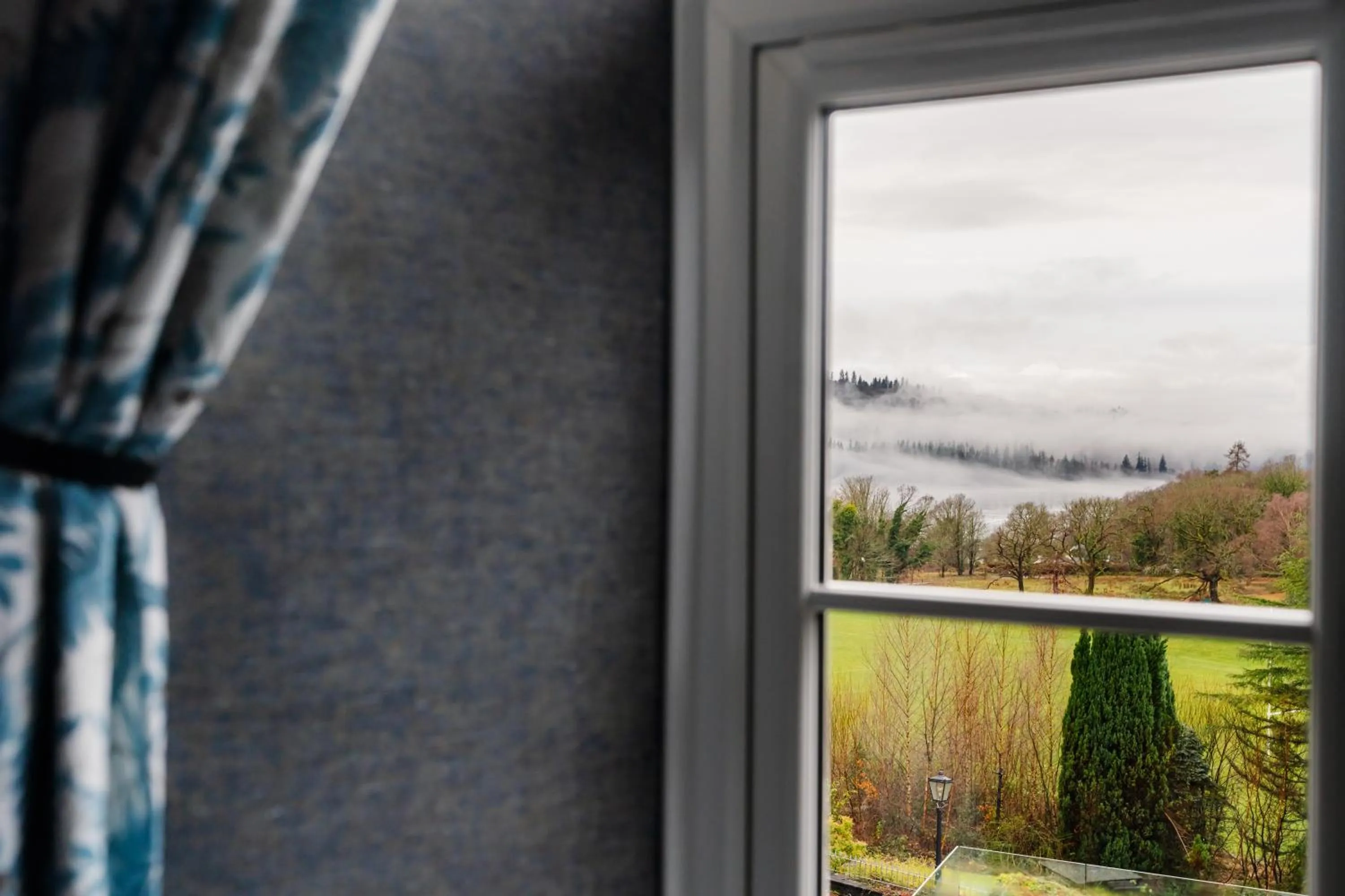 Natural landscape in Craig Manor