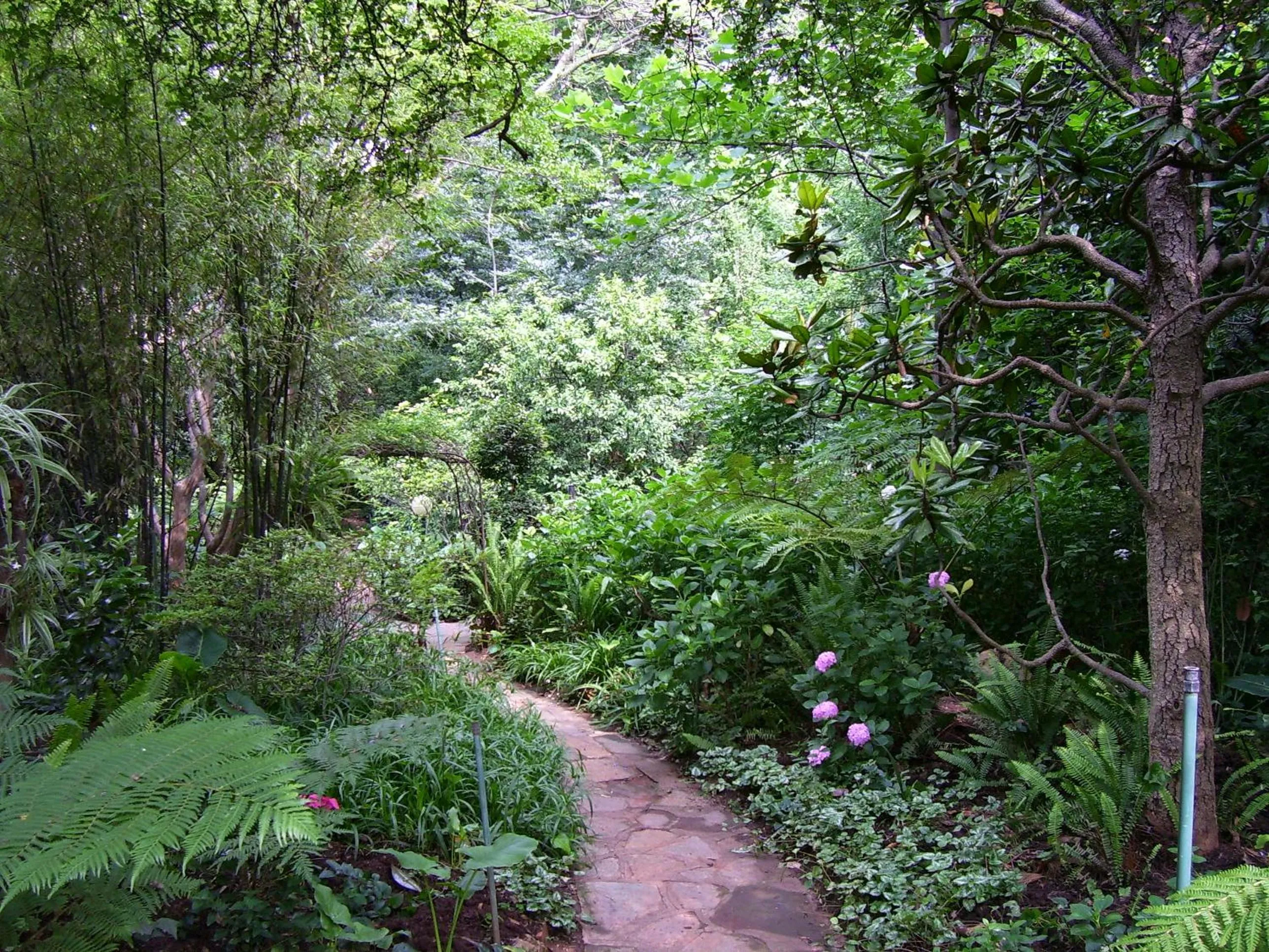 Garden in Foxwood House Boutique Hotel