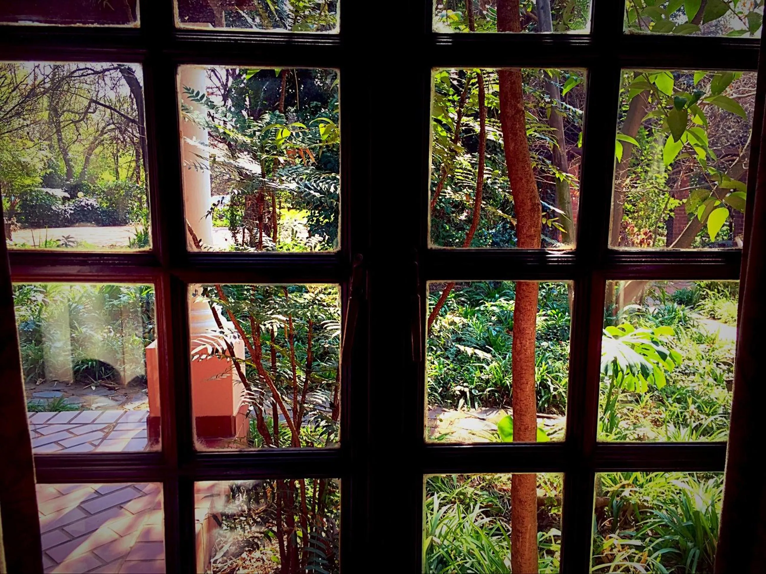 Garden view in Foxwood House Boutique Hotel