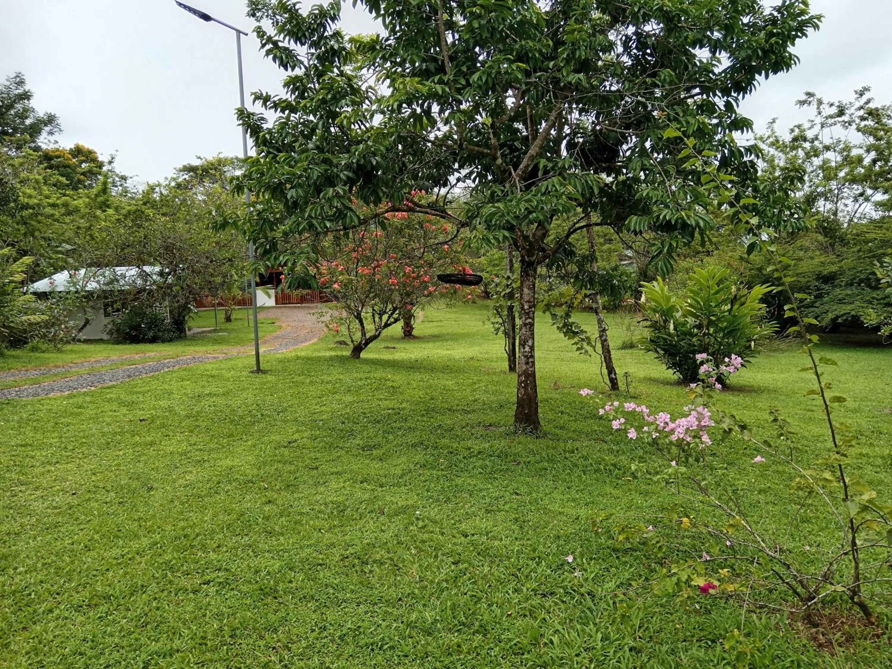 Garden in Posada Rural Río Celeste