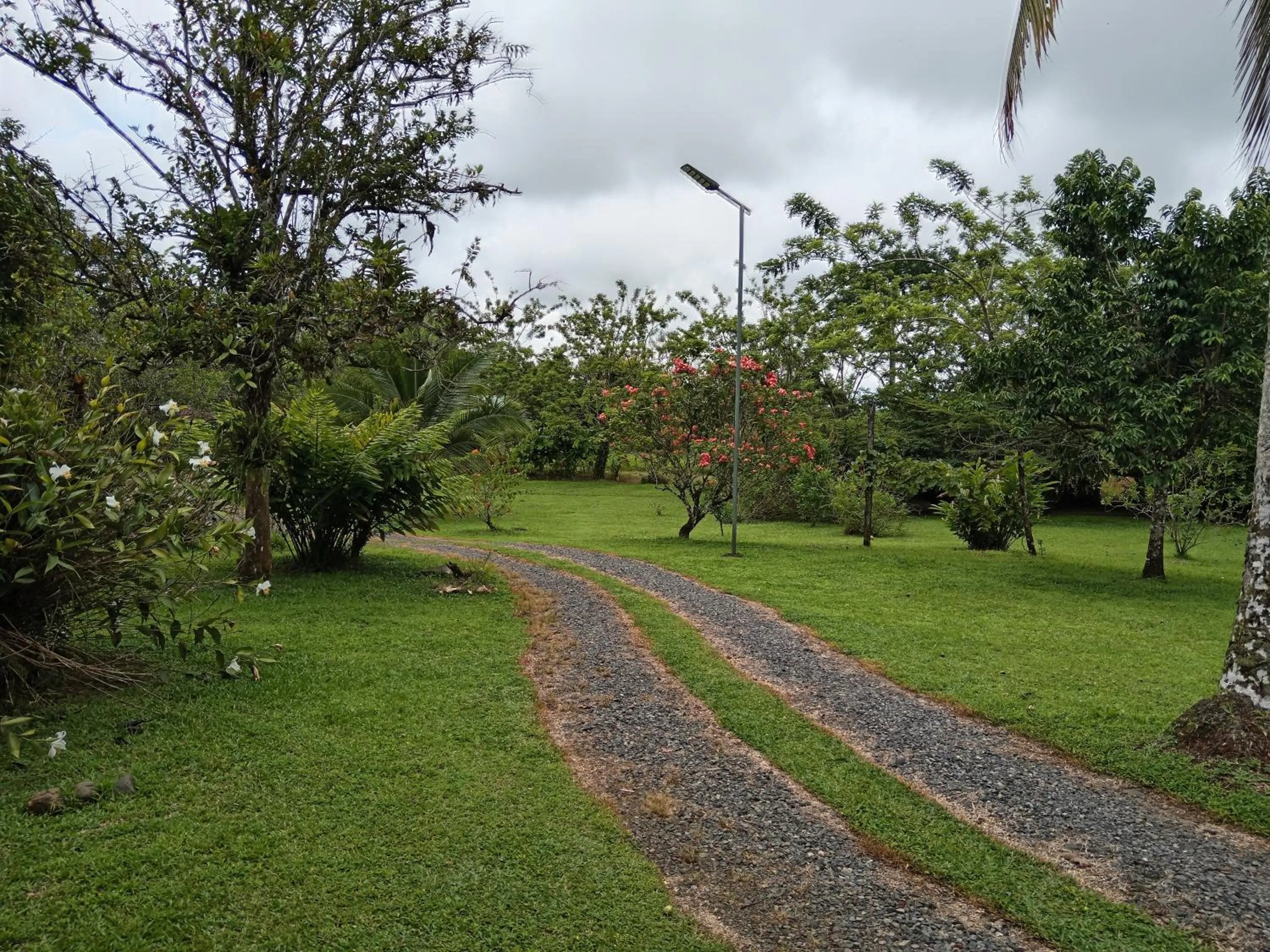 Garden in Posada Rural Río Celeste