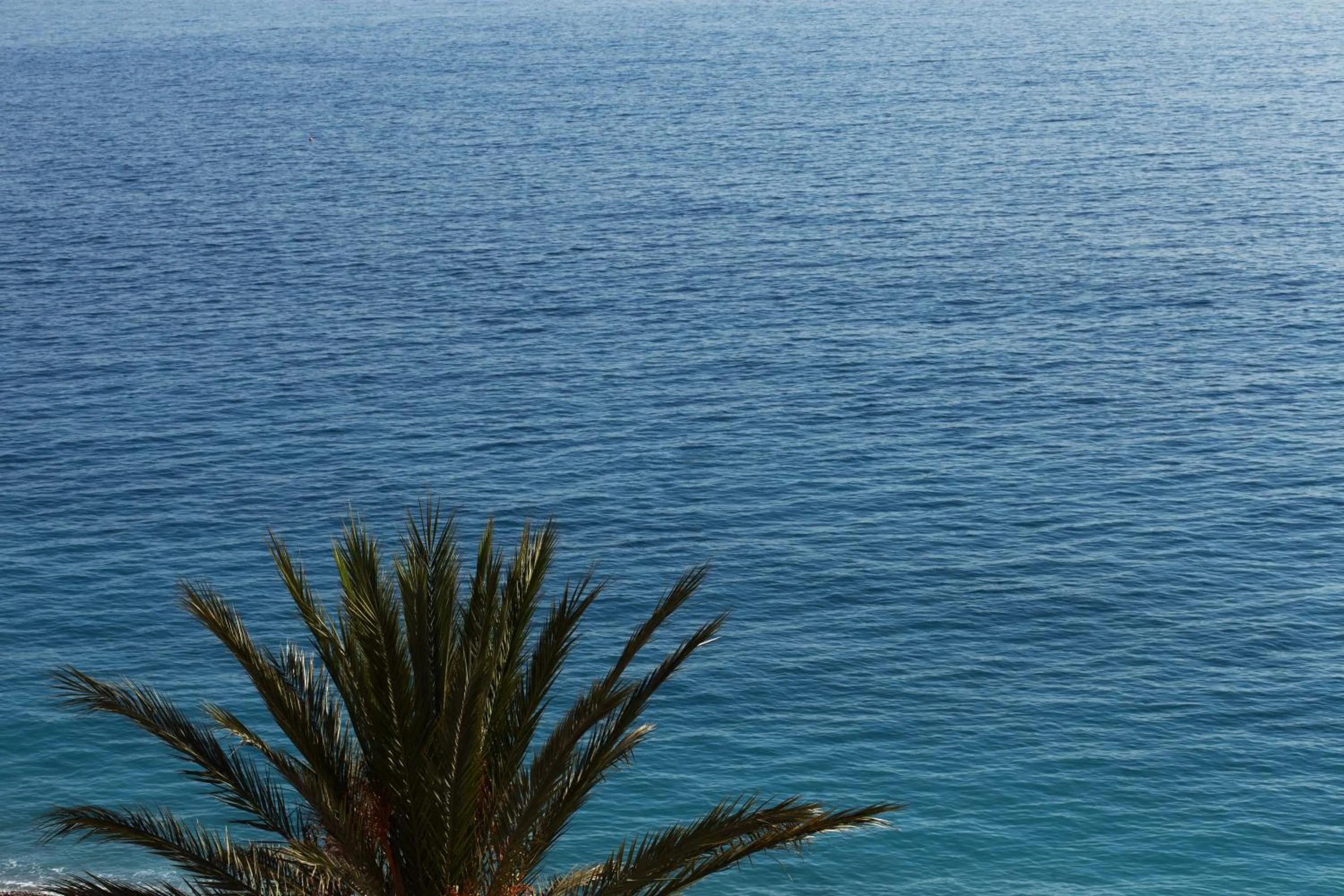 Balcony/Terrace in Westminster Hotel & Spa Nice