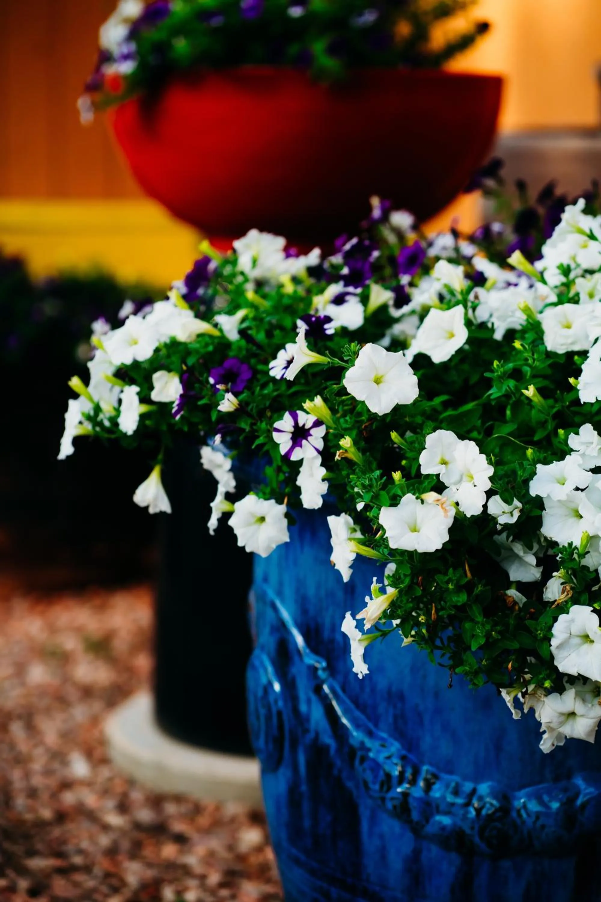 La Junta Colorado Cabins