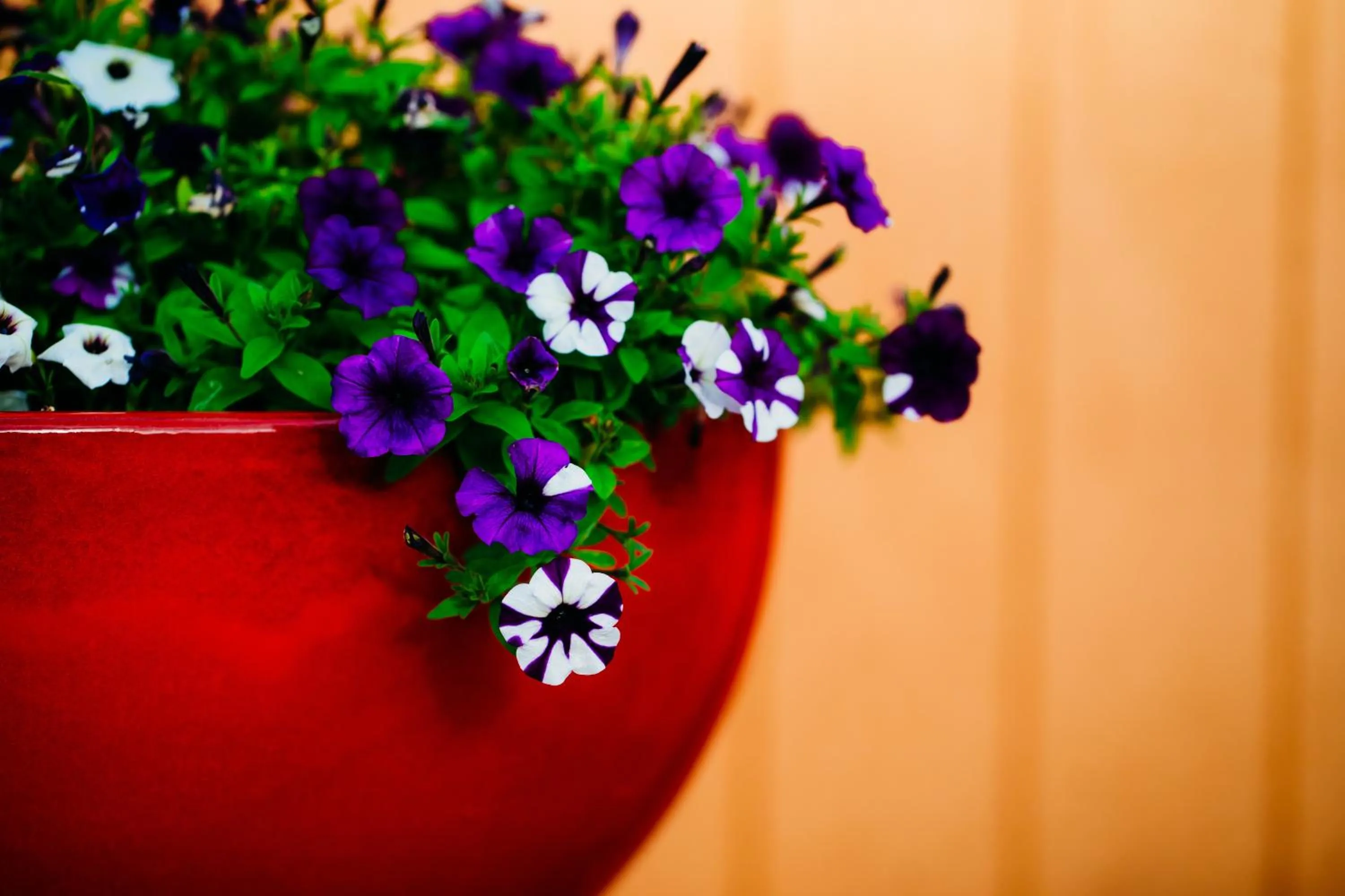 La Junta Colorado Cabins
