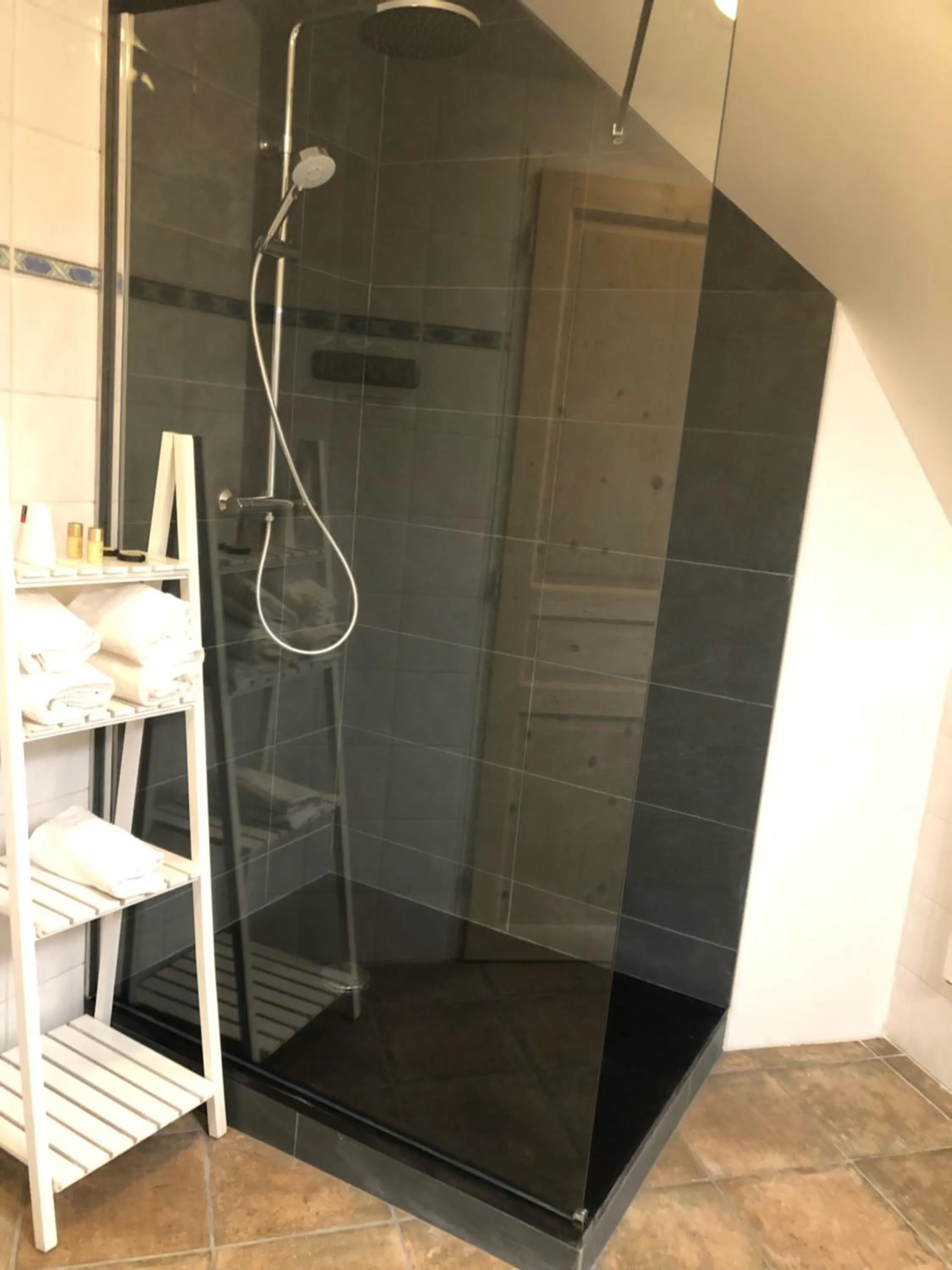 Shower in Logis Hôtel Volcan Sancy