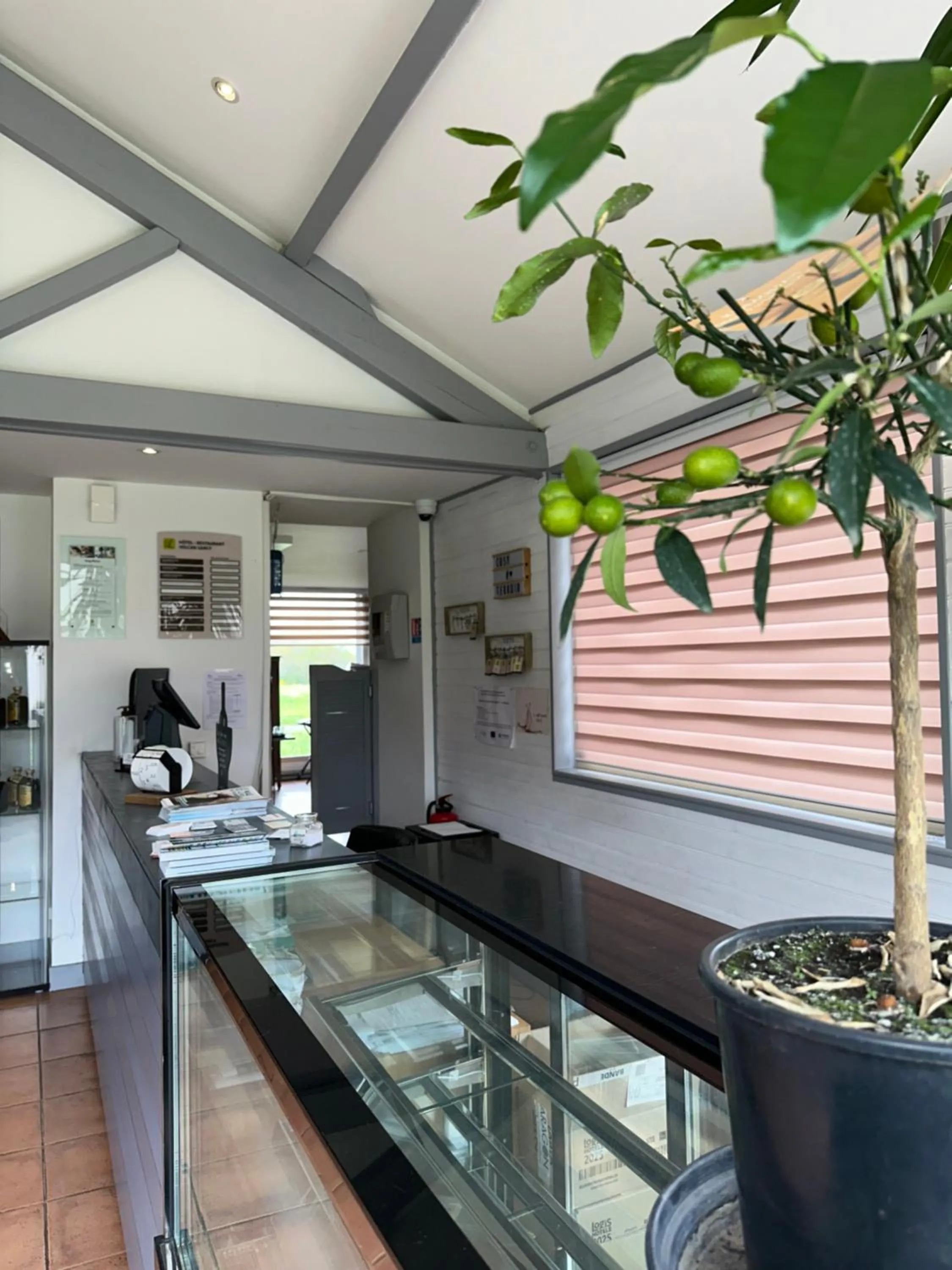 Lobby or reception in Logis Hôtel Volcan Sancy