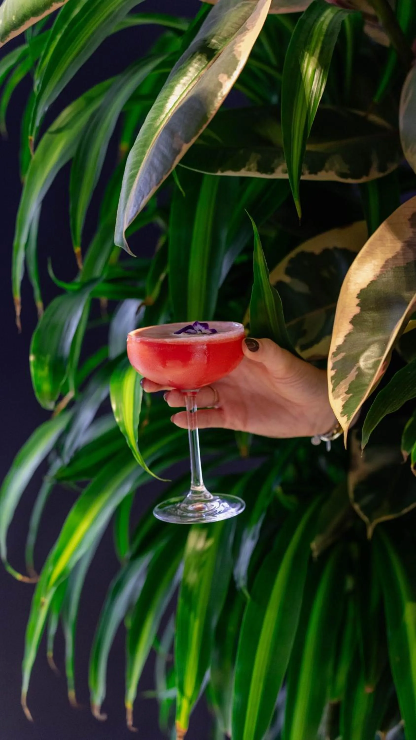 Restaurant/places to eat in The Jangle Hotel - Paris - Charles de Gaulle - Airport