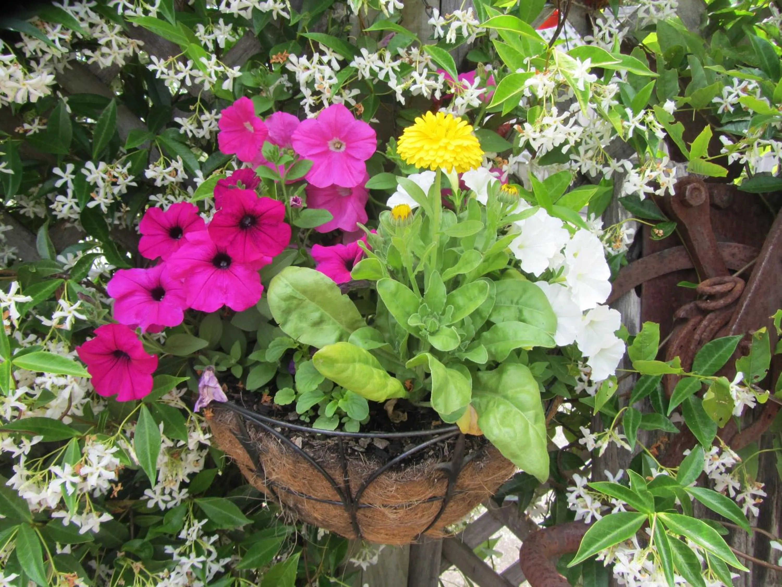 Garden in Welbourn Accommodation